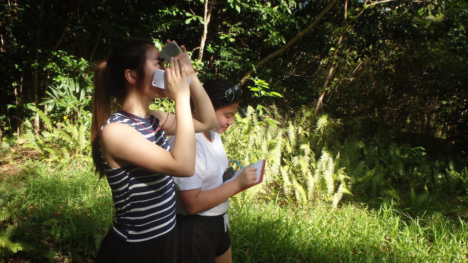 Daintree rainforest research station