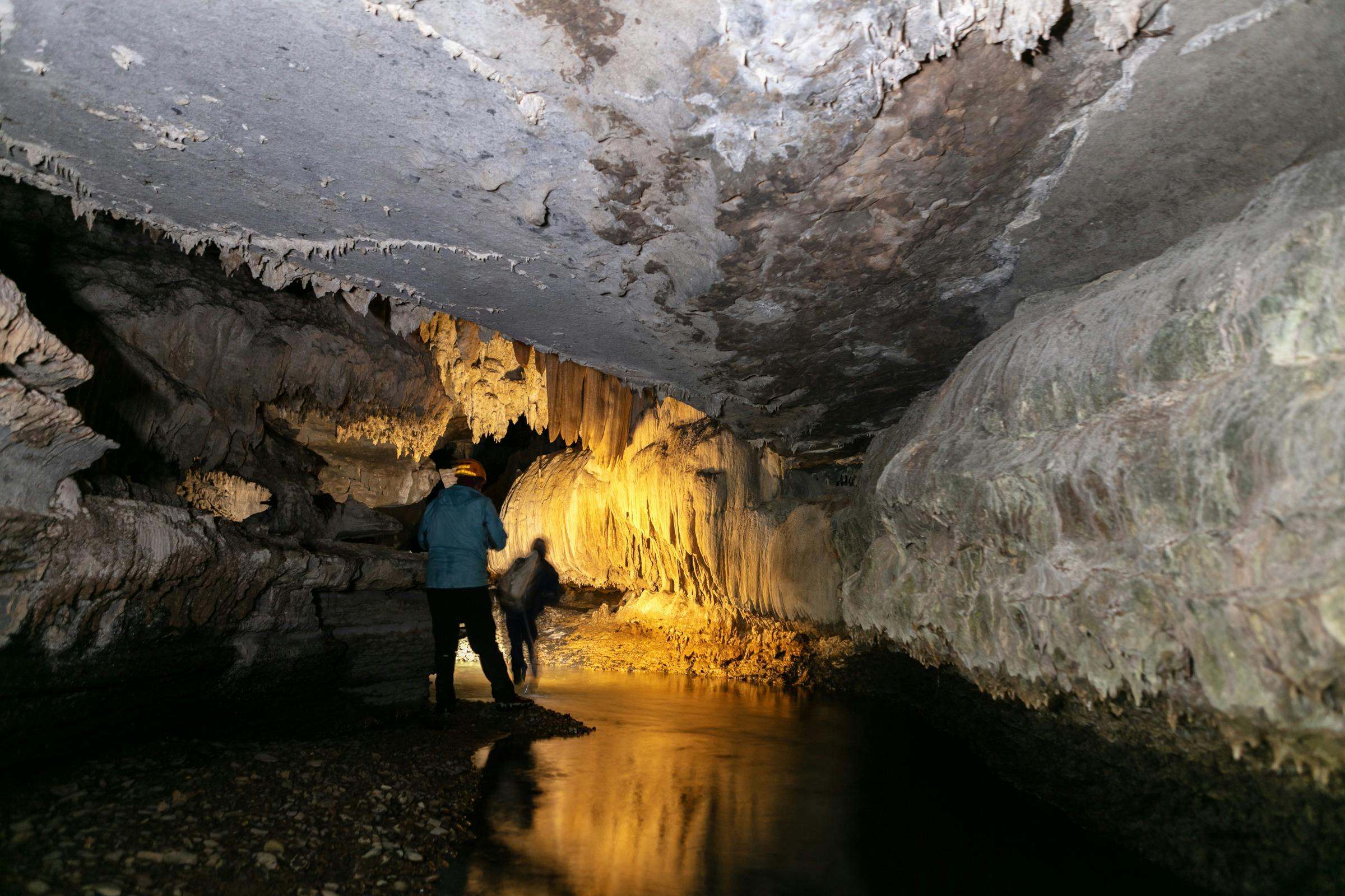 Wild Cave Tours