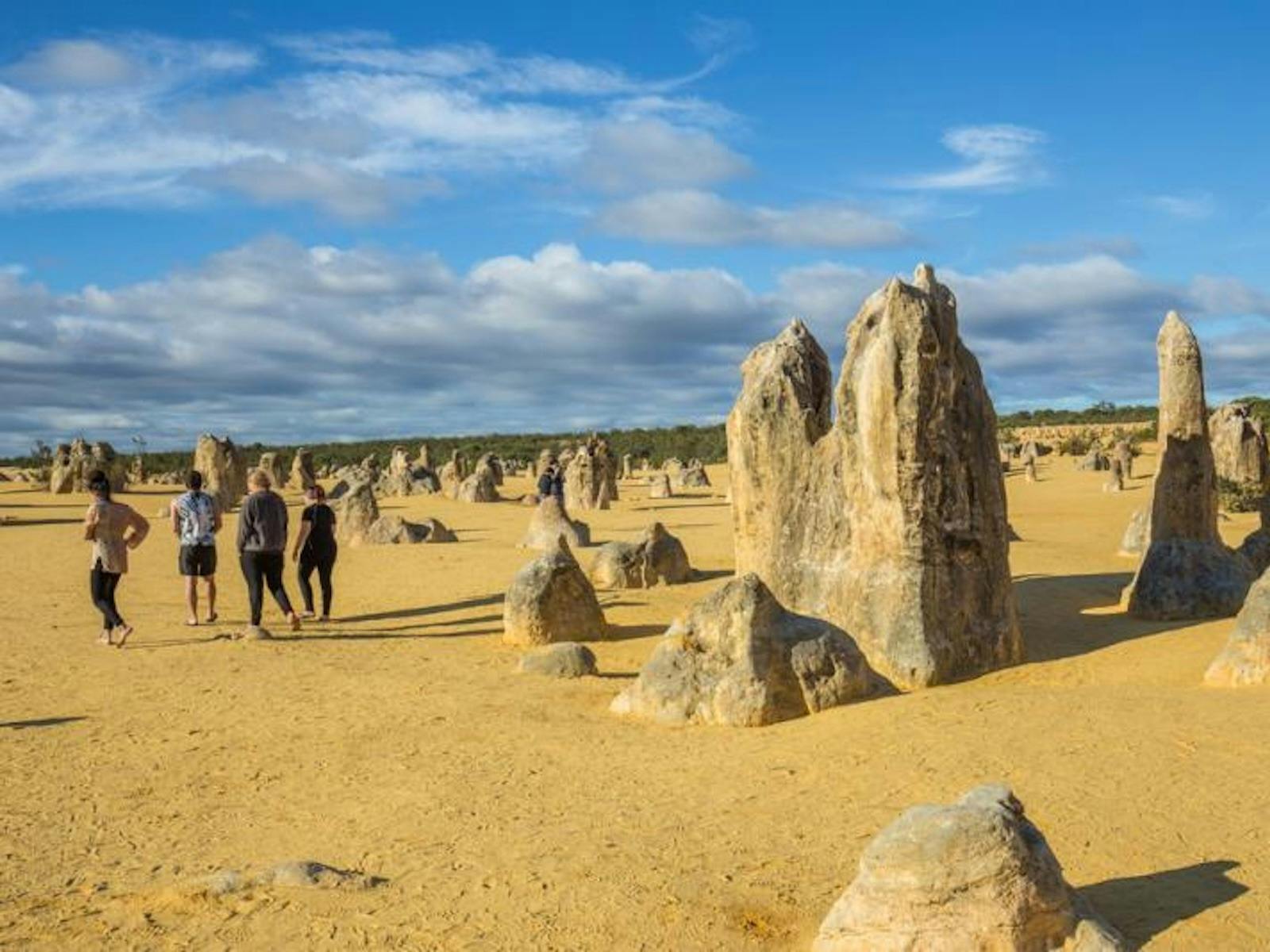 Perth to Monkey Mia & Return