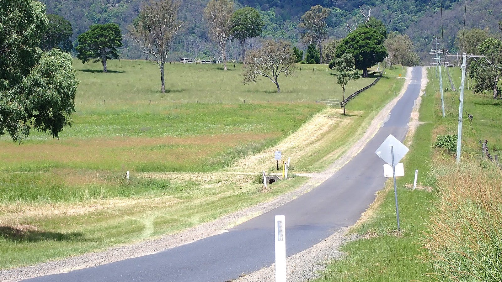 Mount Glorious to Mount Mee Car Tour with private tour guide Anita from Brisbane Nature Tours Mount Glorious to Mount Mee Car Tour with private tour guide Anita from Brisbane Nature Tours