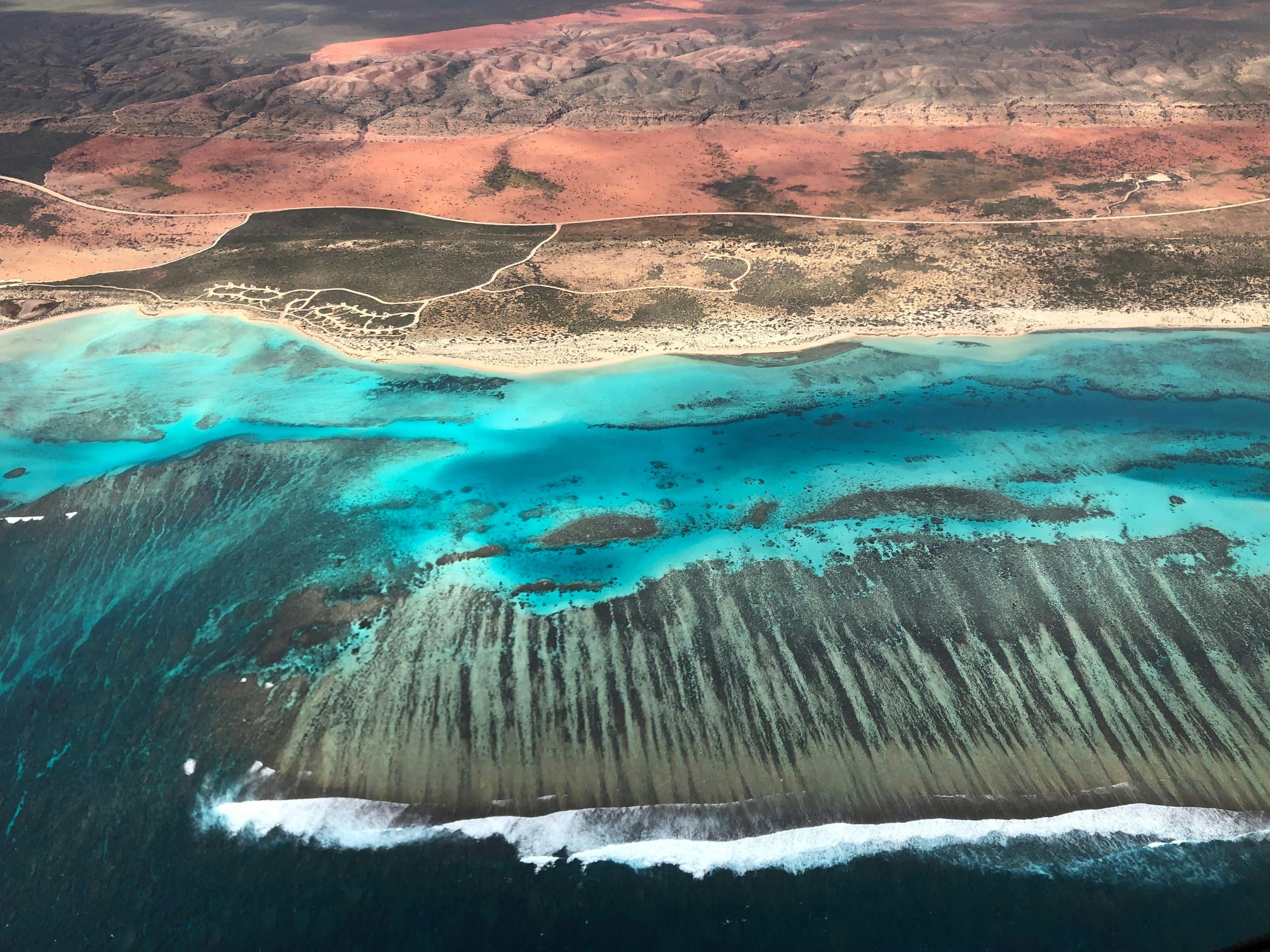 The Reef