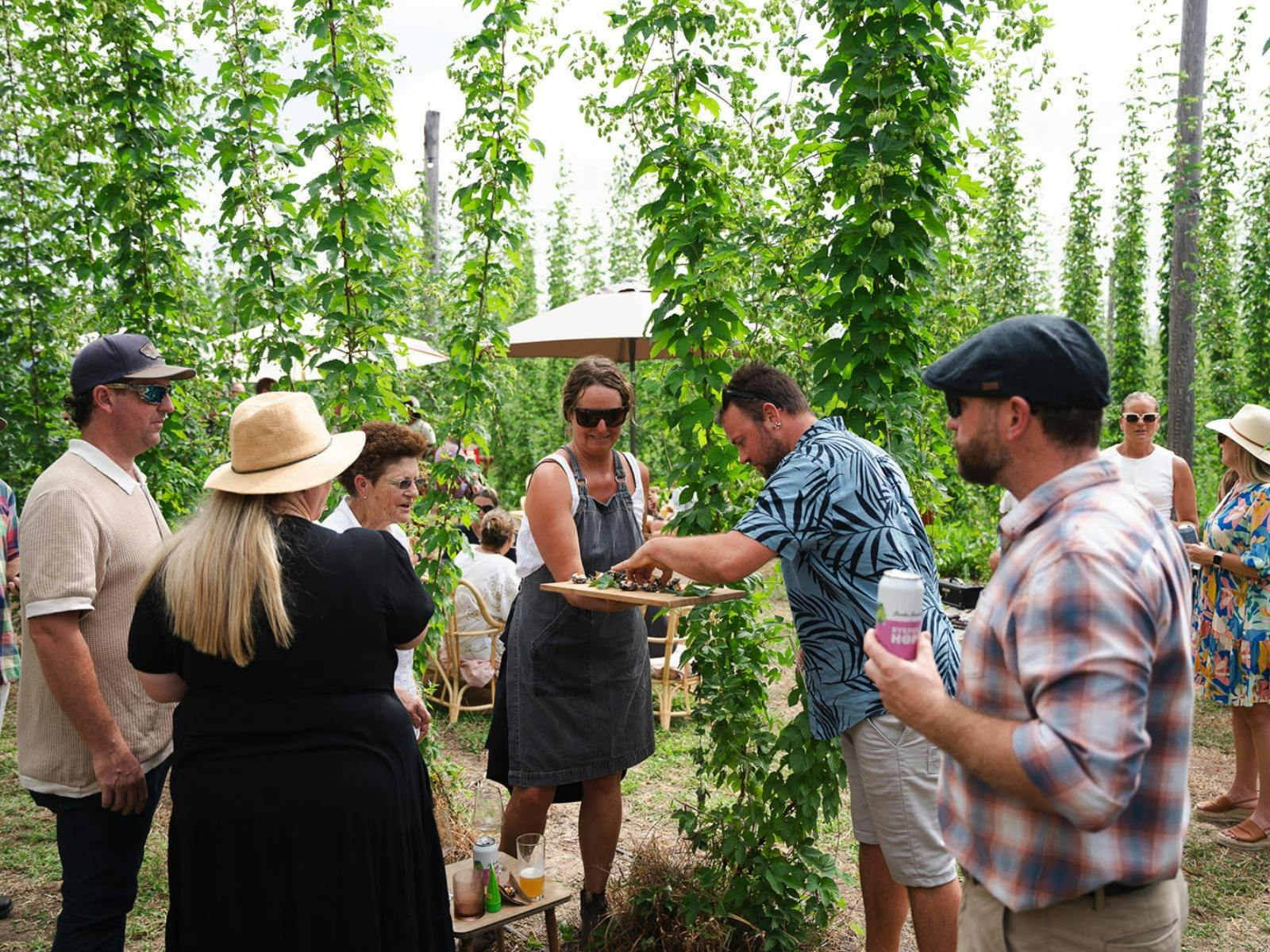 Ryefield Hops - Dine in the Bines