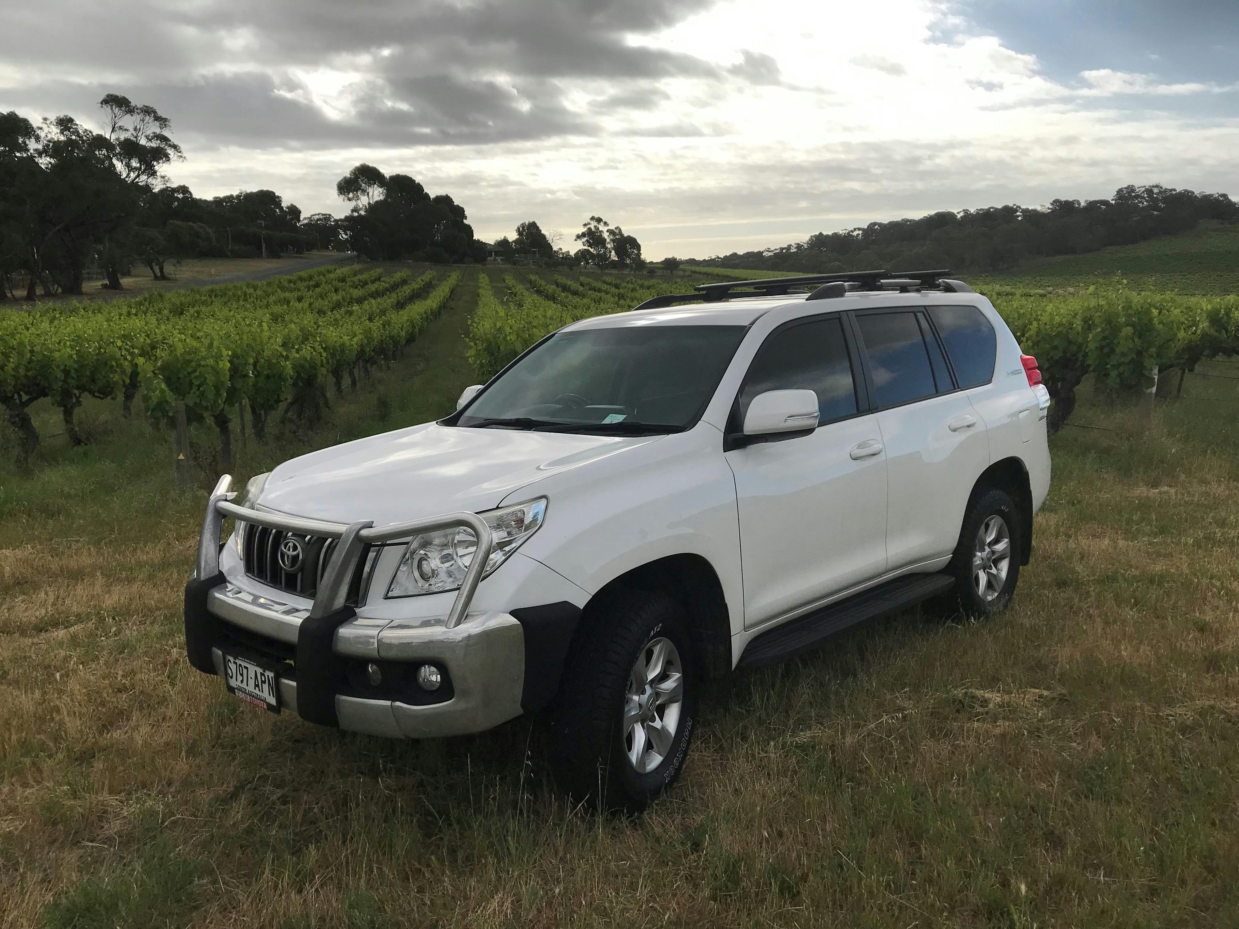 Amongst the vines - McLaren Vale