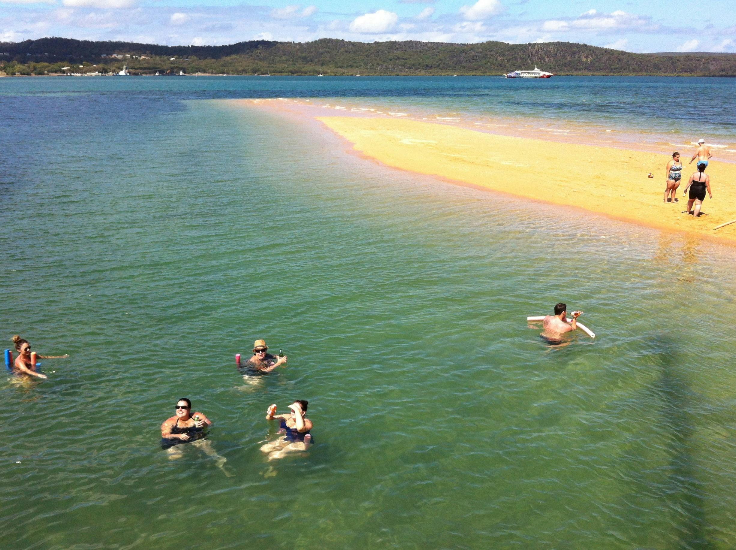 Moreton Bay swimming