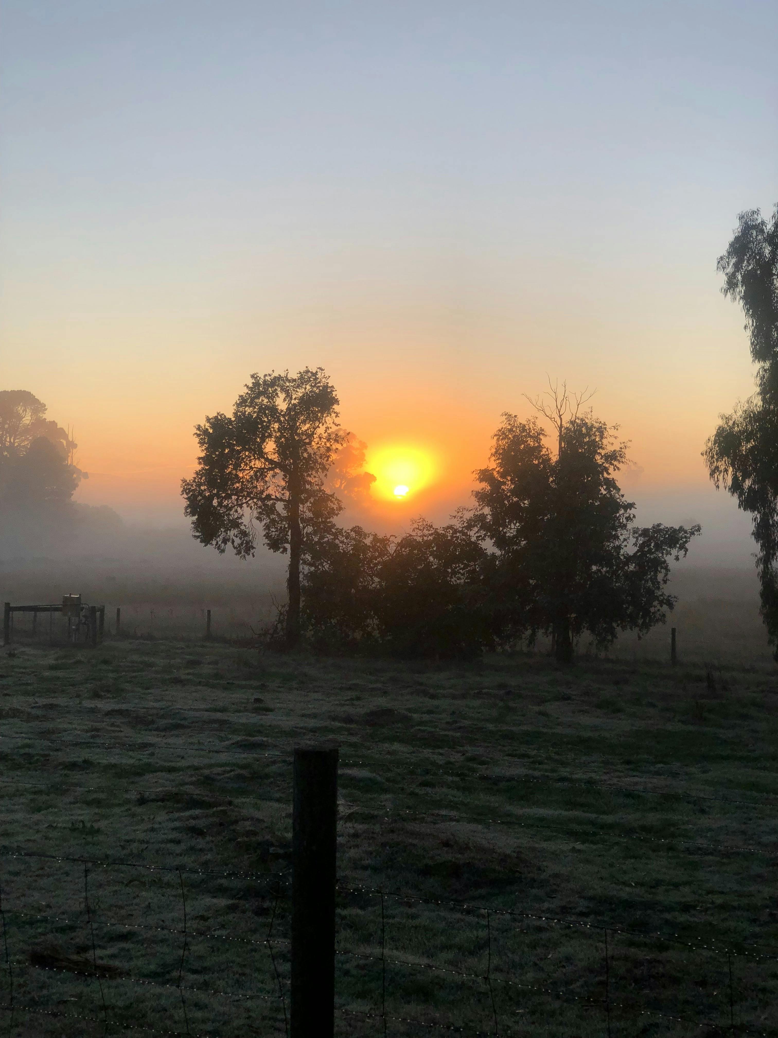 Five Day Healing with Horses and Wellness Retreat