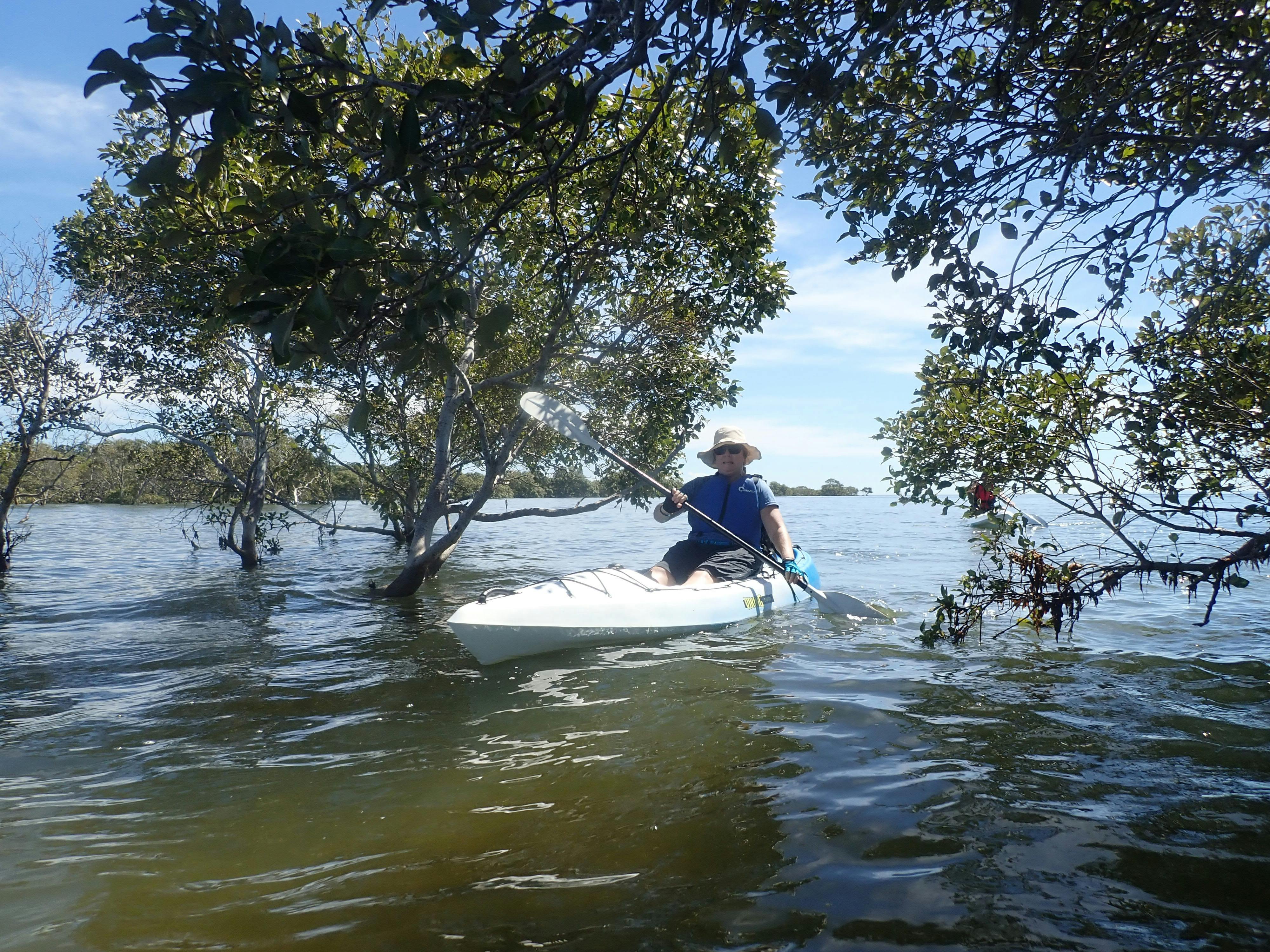 Kayak creek tours