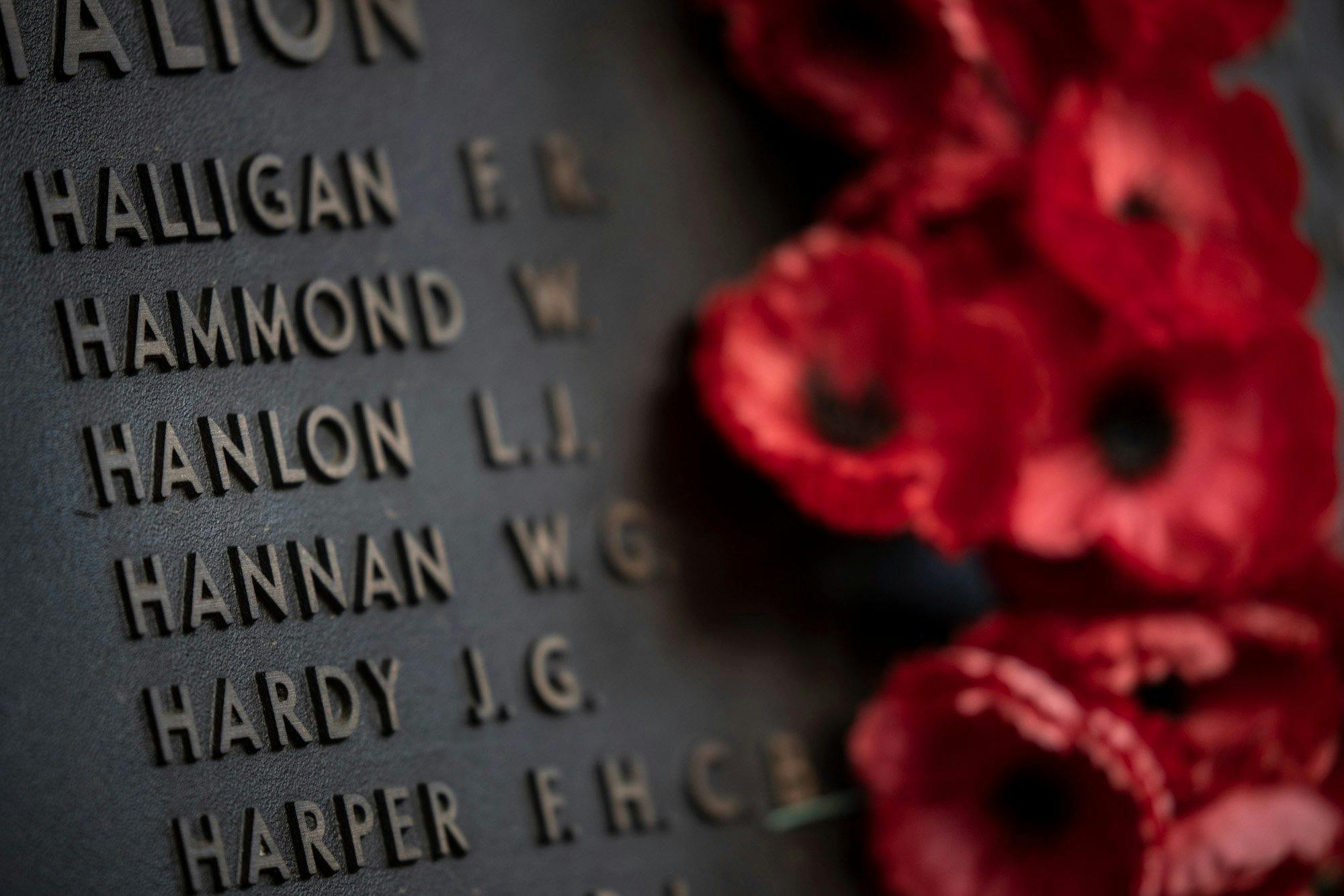 Poppy tributes placed beside names on the Roll of Honour at the Australian War Memorial