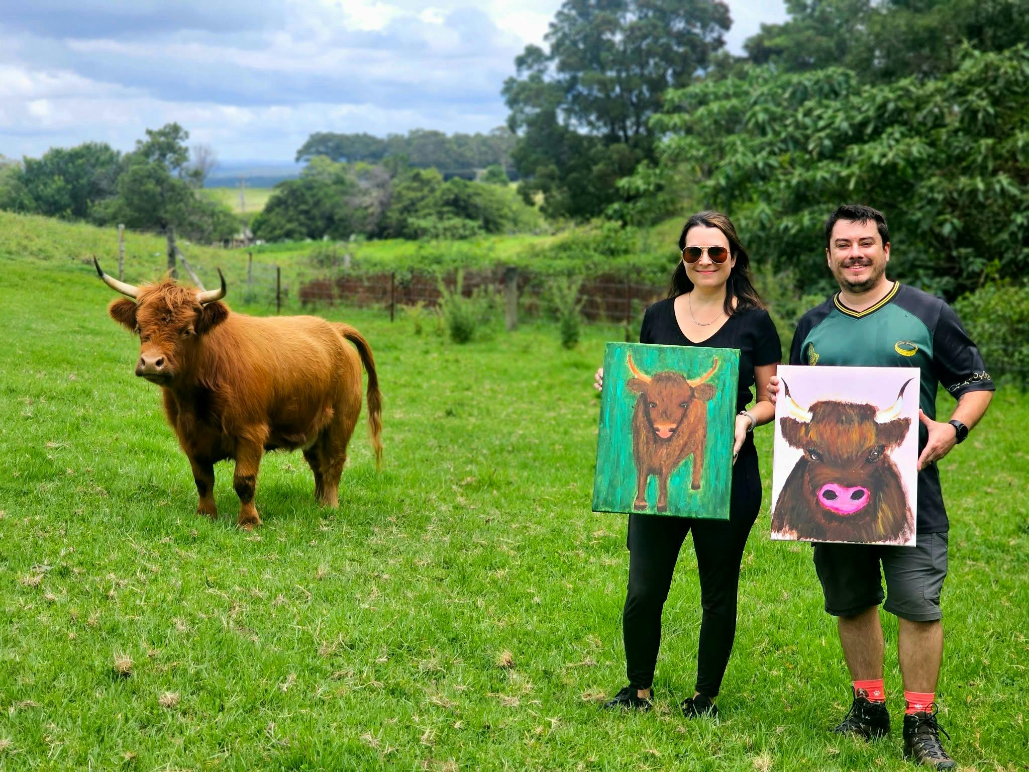 Coo's and Colour at Abergail Farm