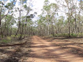Greater Bendigo National Park