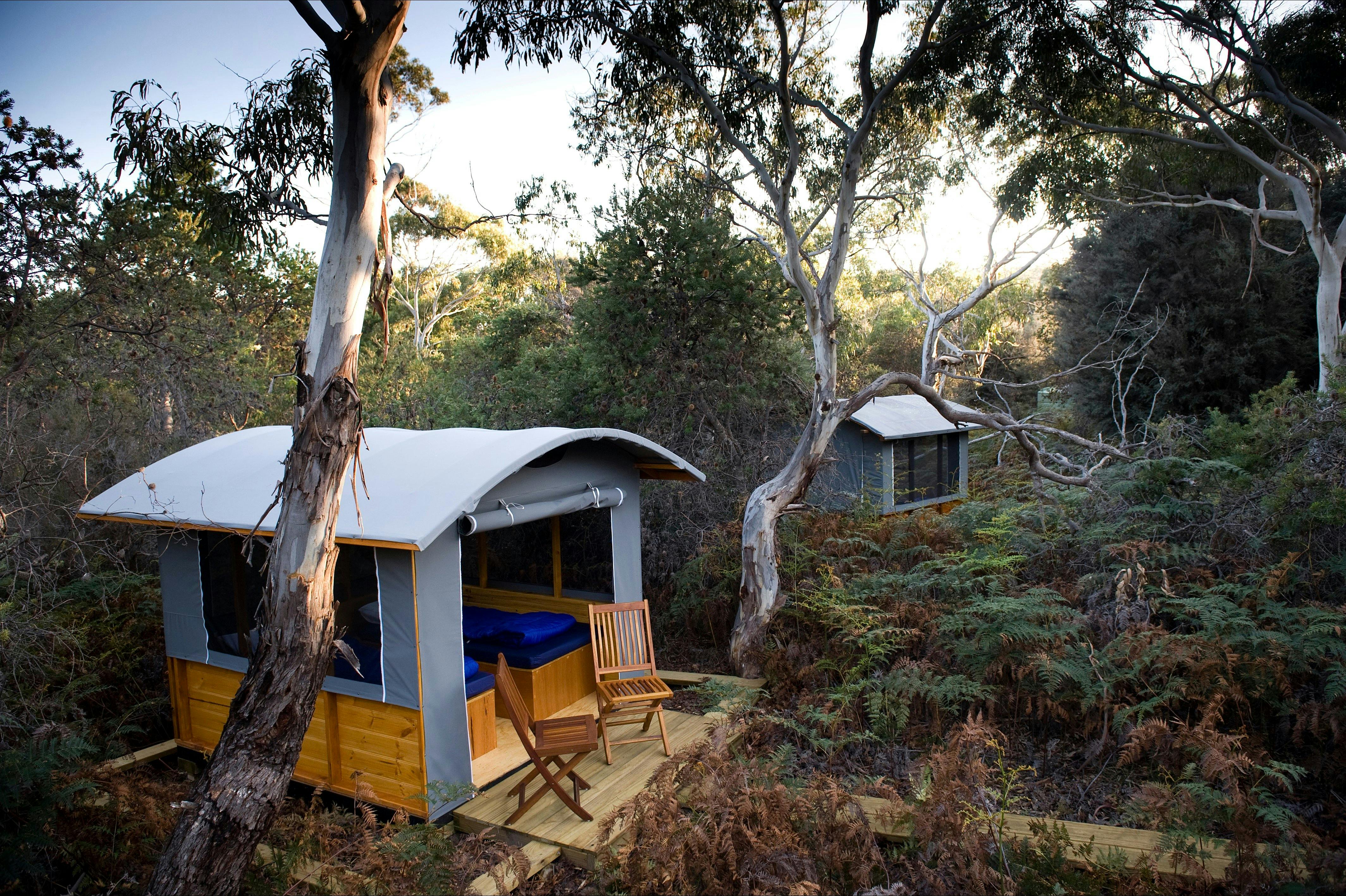 Wilderness Camp