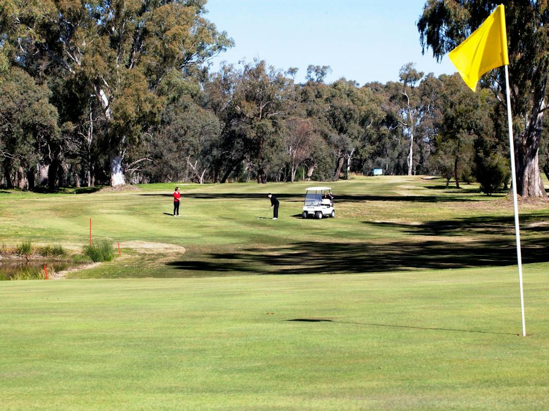 Chipping onto the 7th Green, with the state forest in the background.