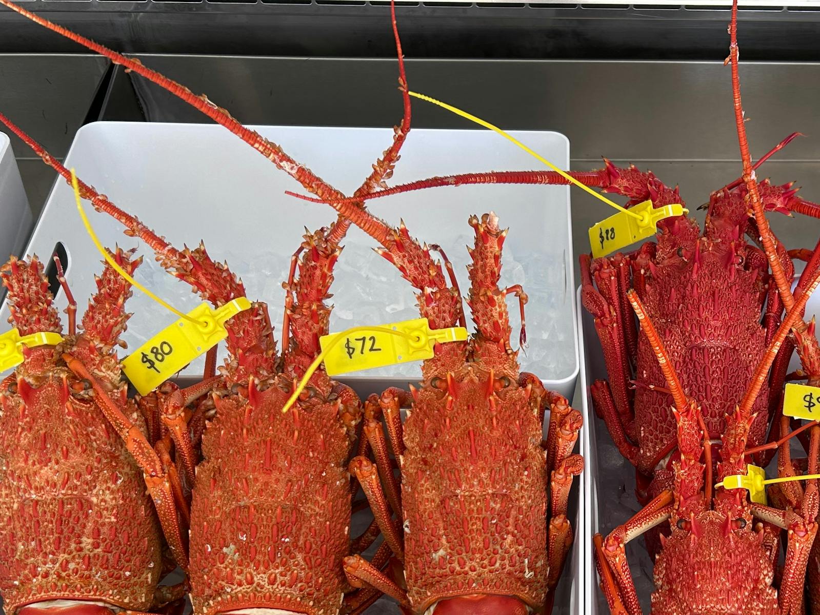 Cooked Southern Rock Lobster