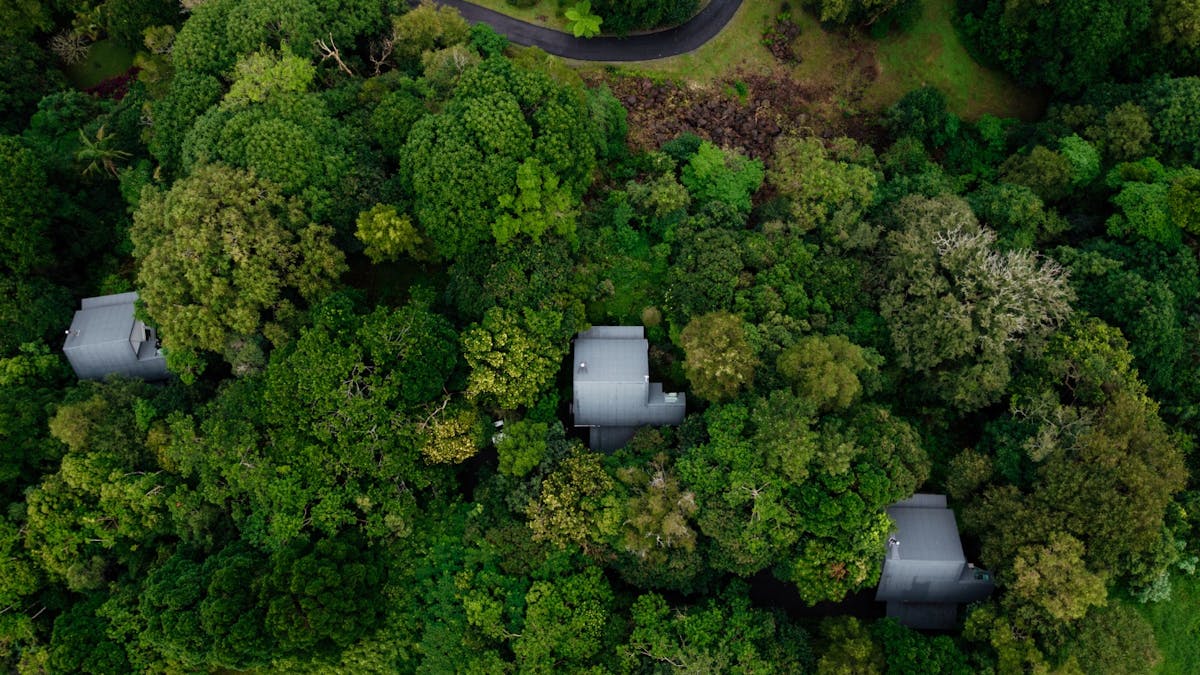 Misty View from the Air, showing how private our cottages are