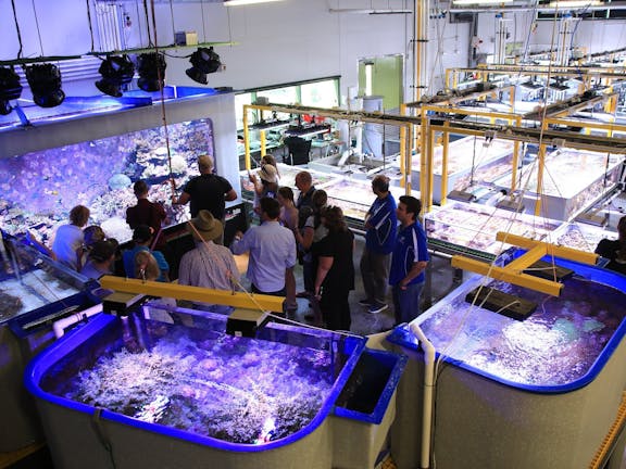 Australian Institute of Marine Science