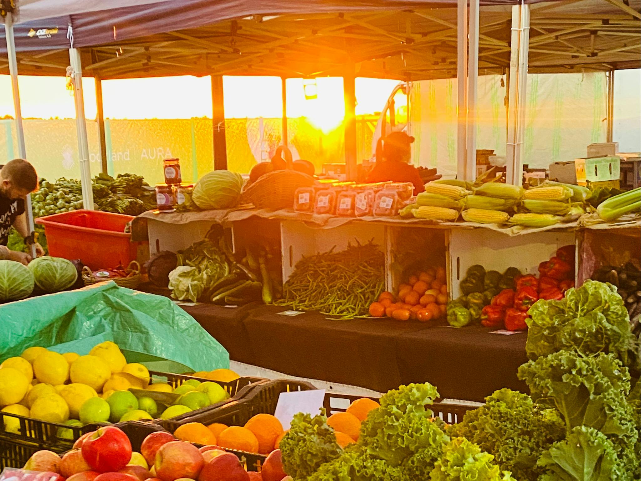 Fresh food and sunrise Fresh food and sunrise