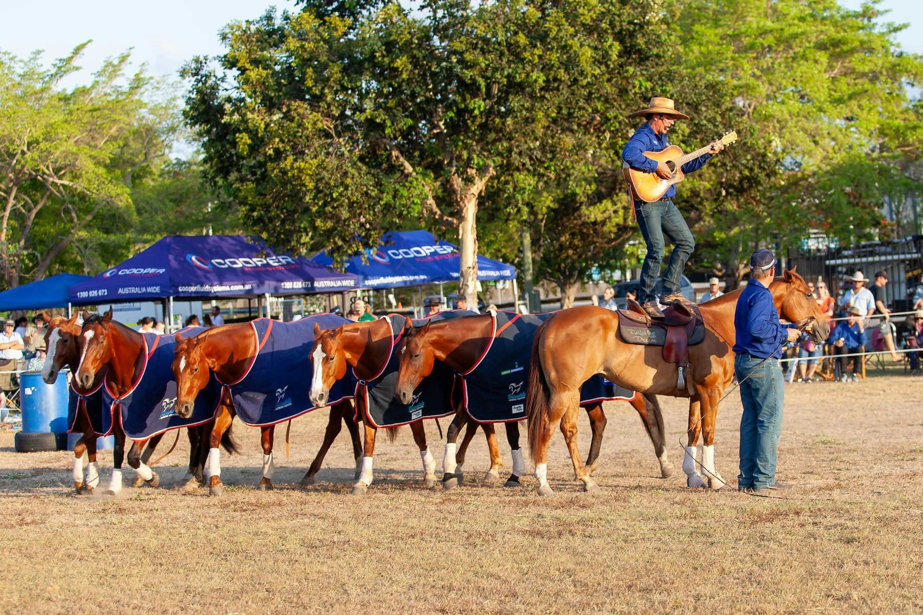 Tom Curtain with his team of horses during a Katherine Outback Experience show on tour