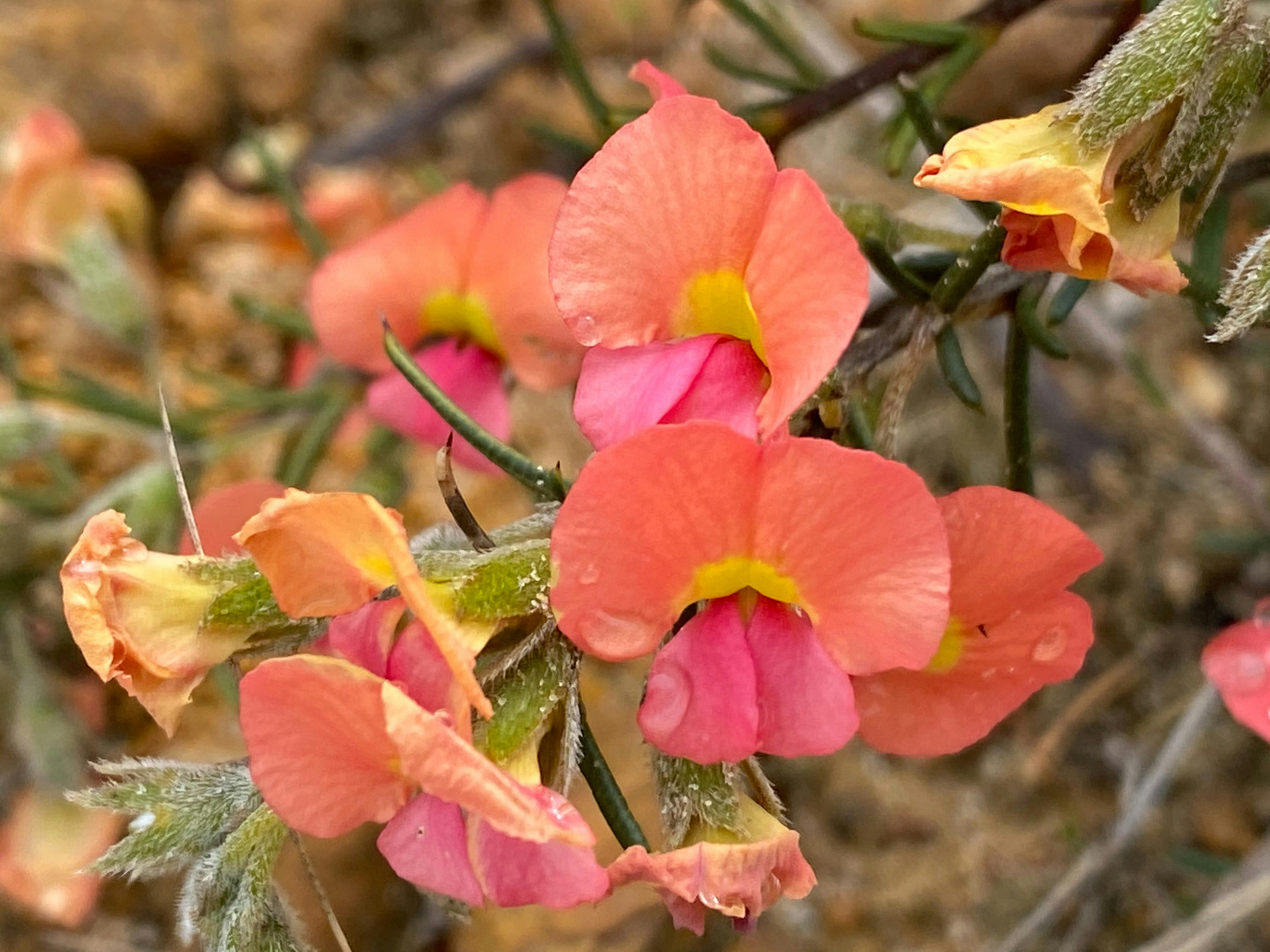 Luxury Outback Tours, Perth, Western Australia