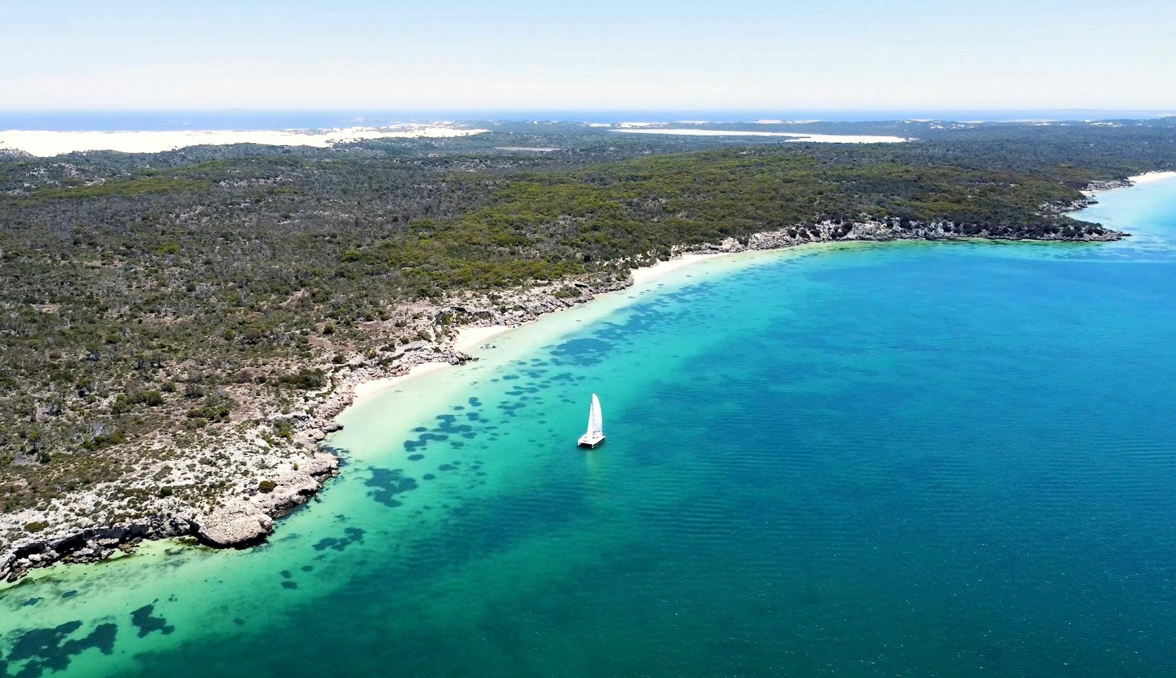 Sunset Charters Coffin Bay Dolphin Swim Tour