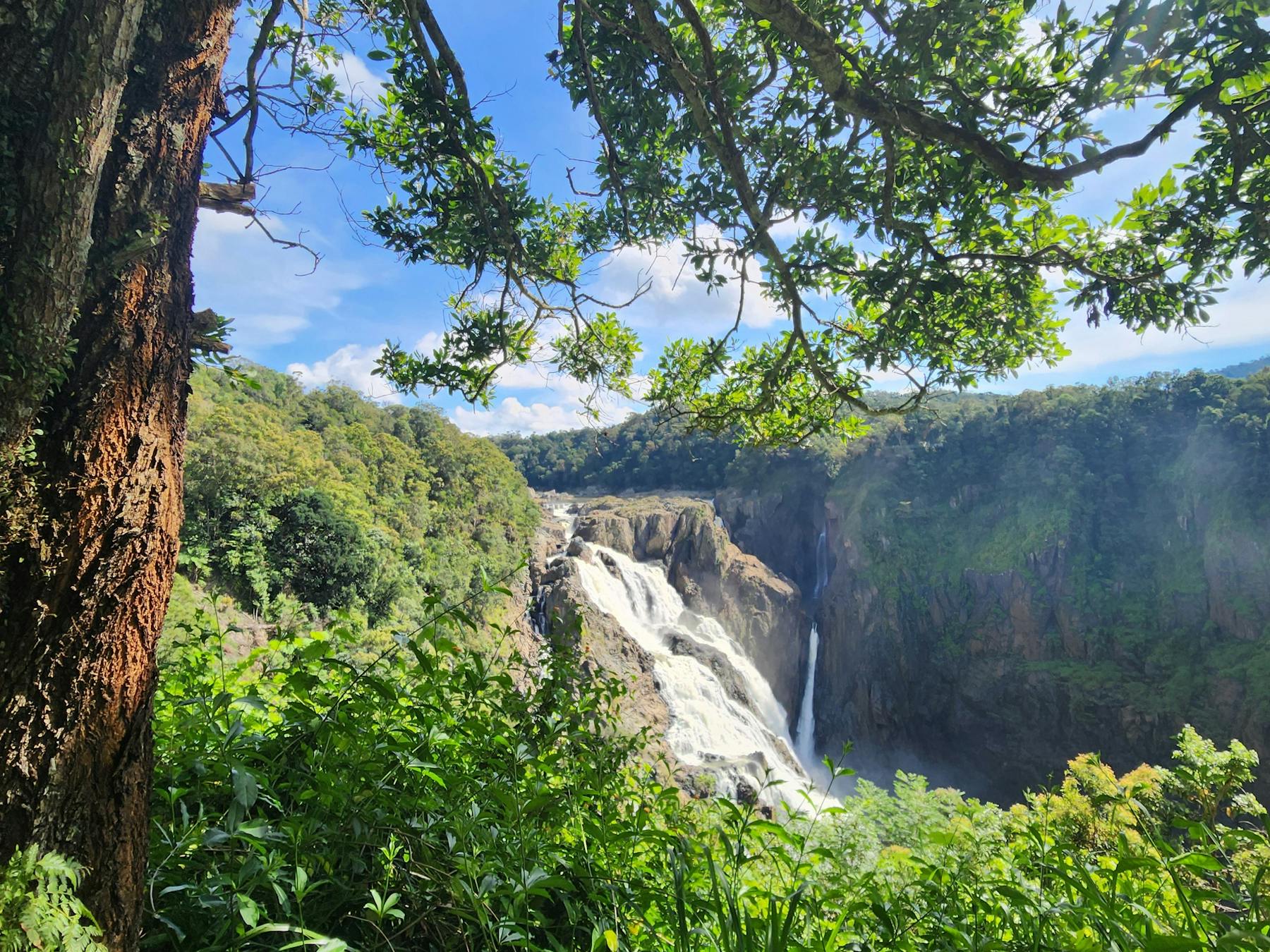 Barron Falls