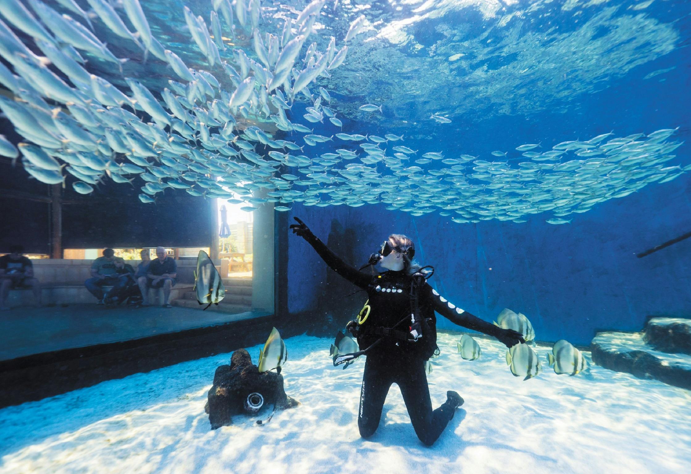 AQWA - The Aquarium of Western Australia