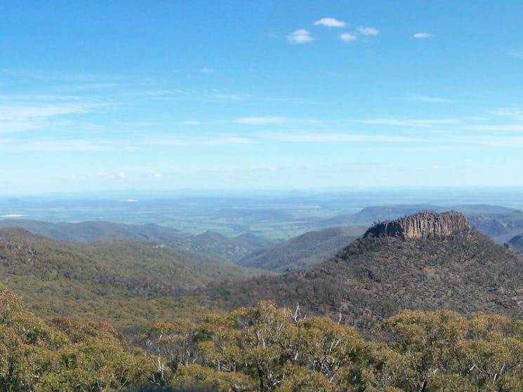 Kaputar Road drive, Mount Kaputar National Park. Photo: Jessica Stokes