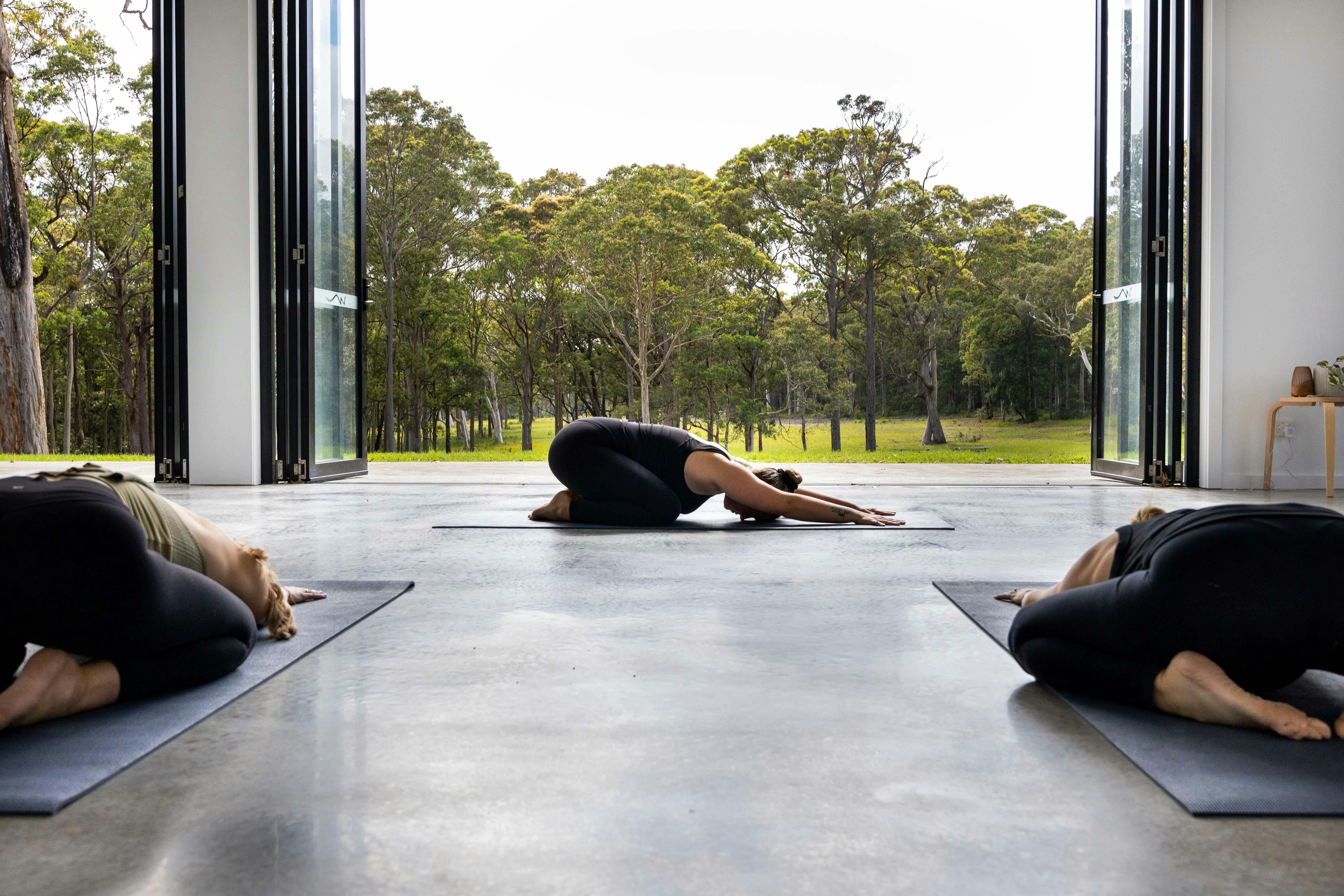 Yoga Amongst the Art