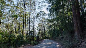 Hastings Forest Way Touring Route