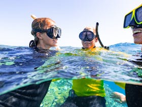 Adrenalin Snorkel and Dive