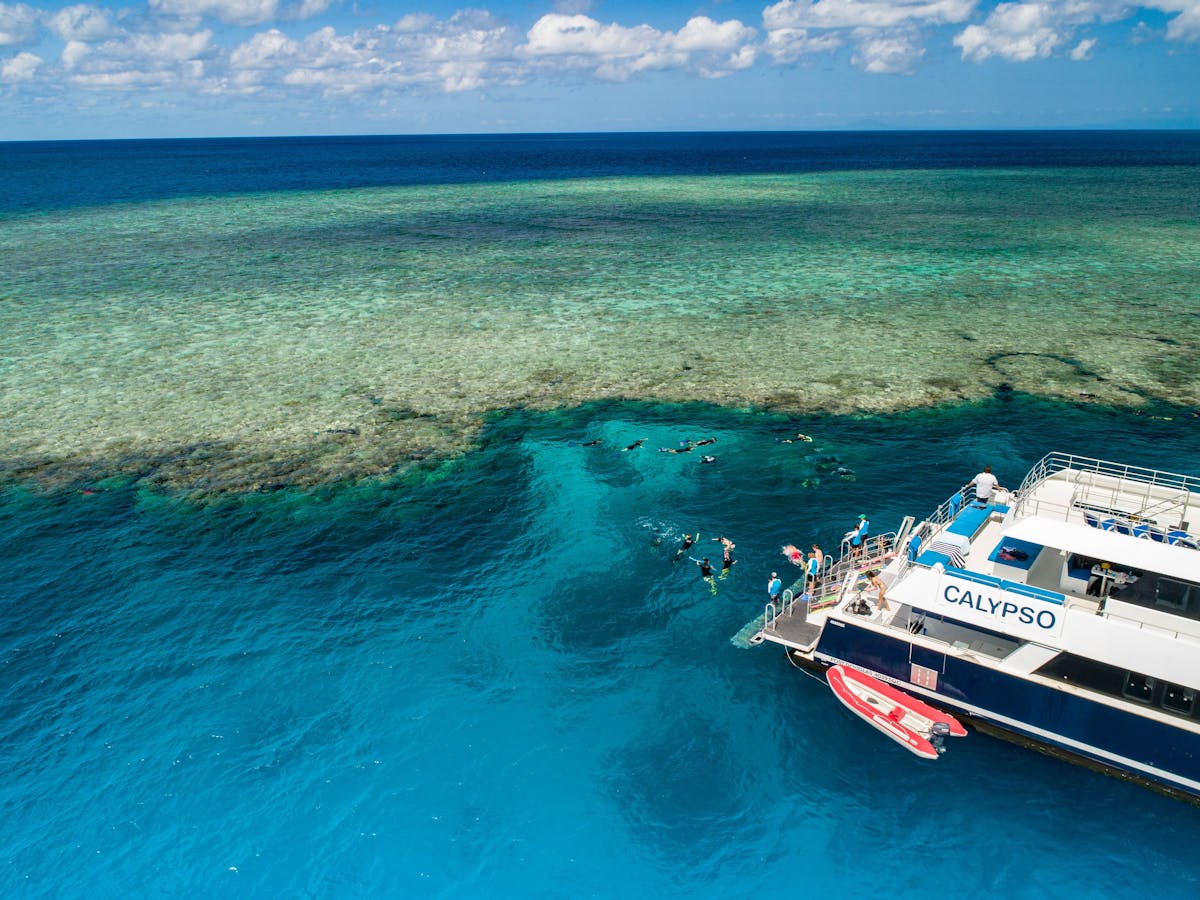 calypso barrier reef tour