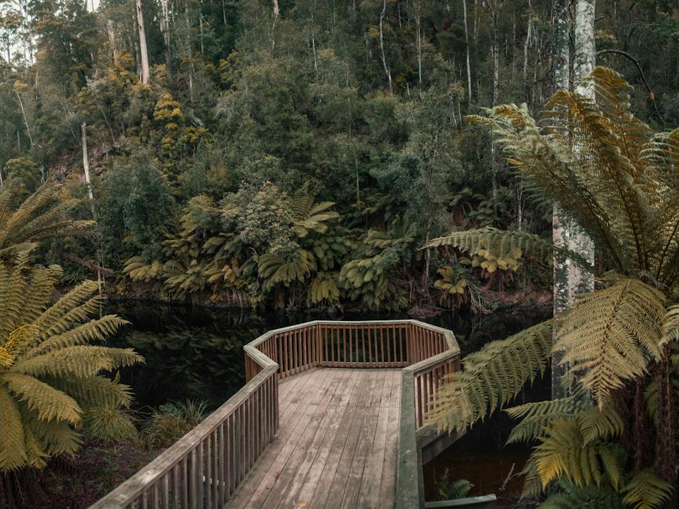 Burnie, Tasmania photo