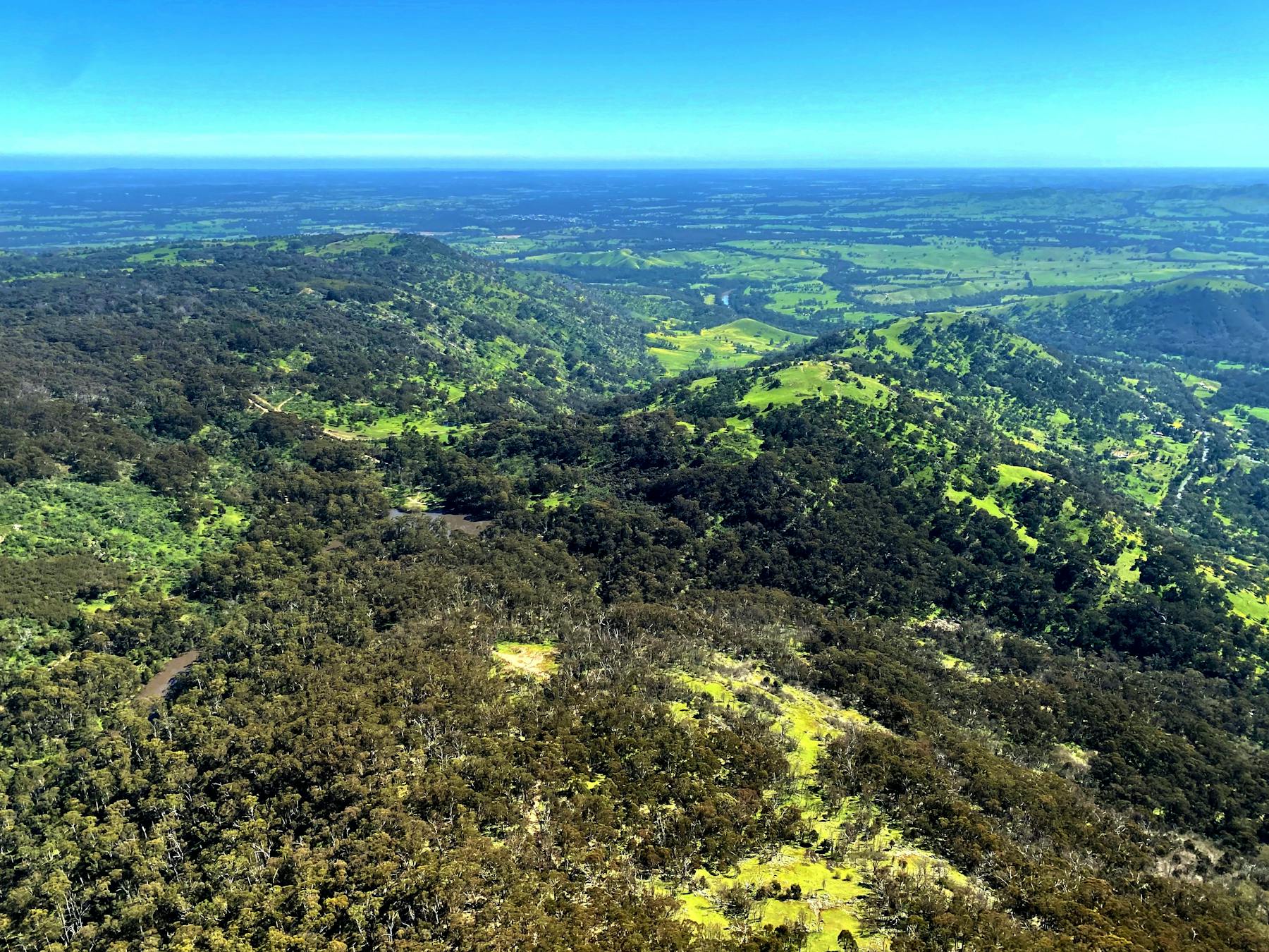 Tallarook State Forest aerial view