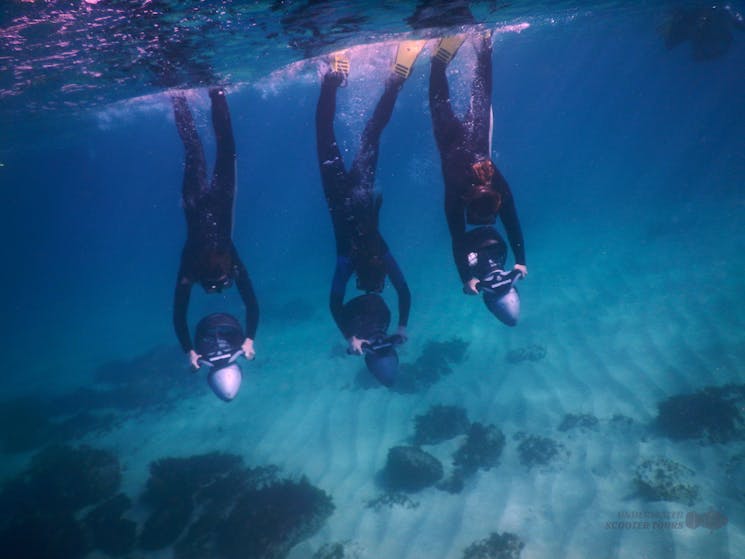 Sydney Underwater Scooter Tours
