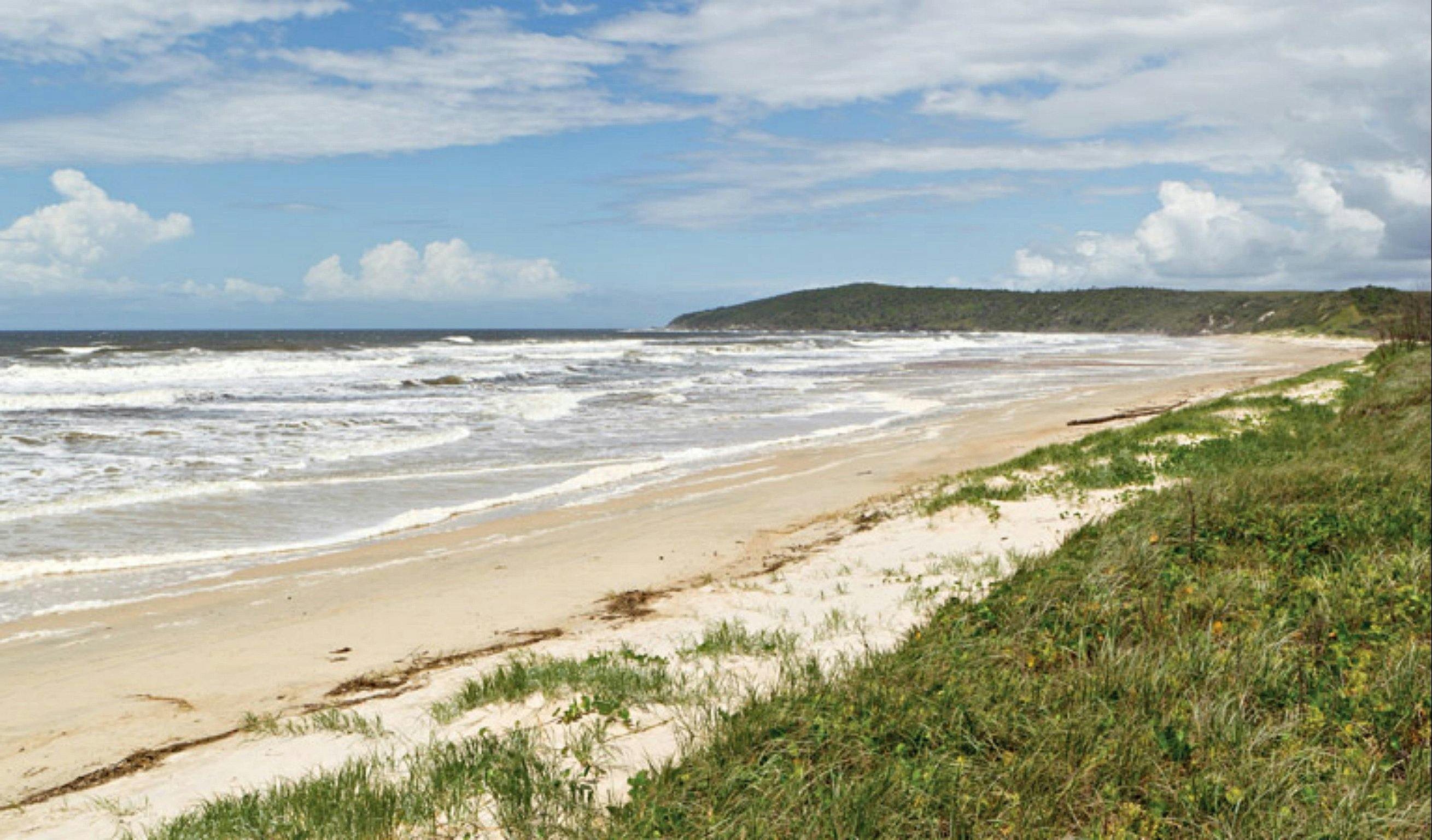 Beach views from the Yuraygir Coastal walk. Photo: Rob Cleary