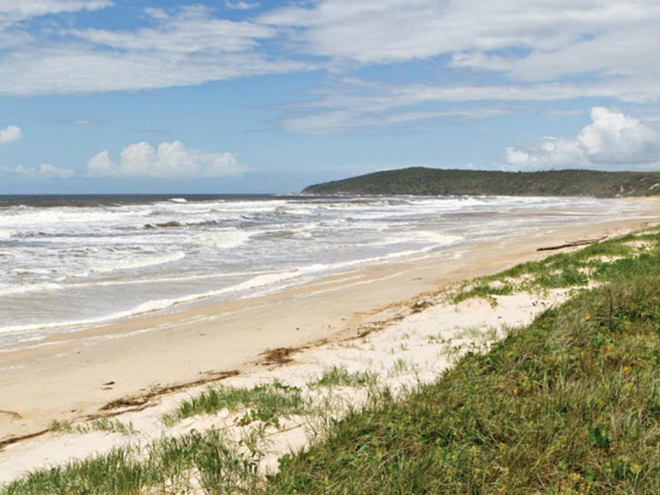 Beach views from the Yuraygir Coastal walk. Photo: Rob Cleary