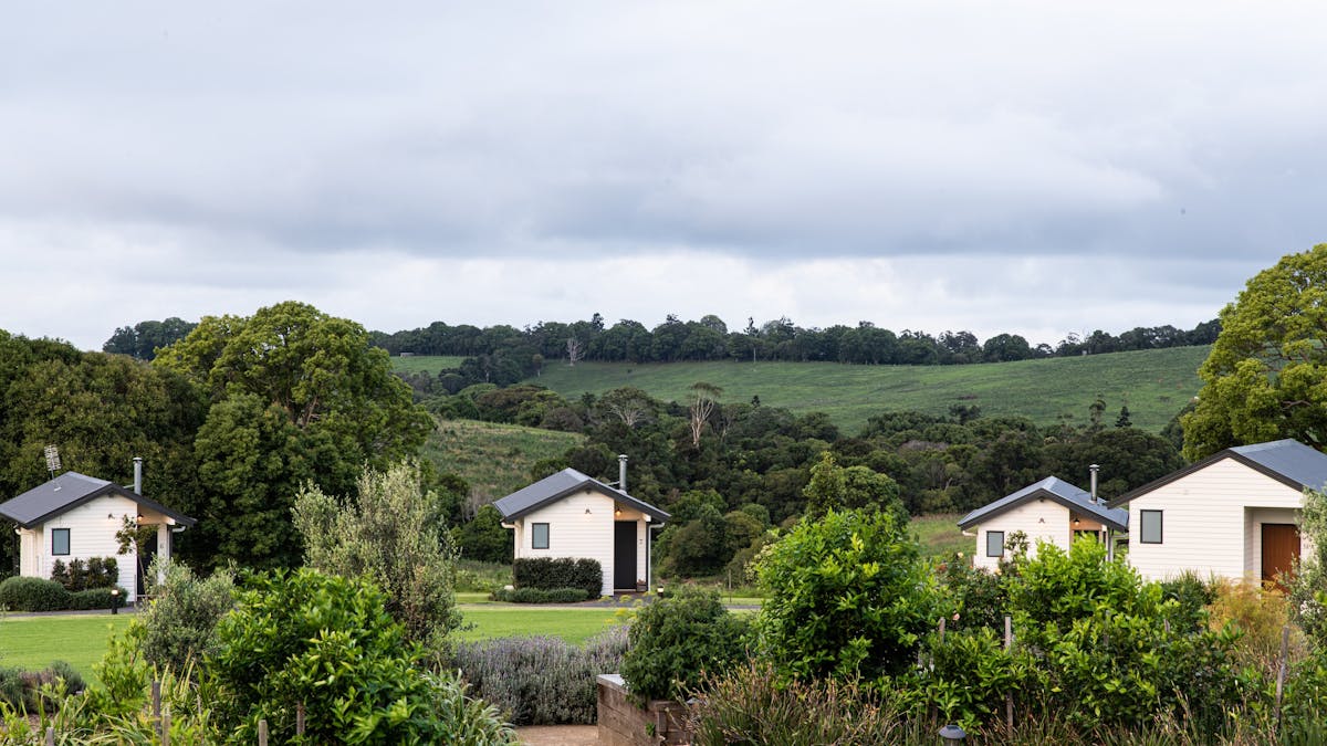 Beechmont Estate