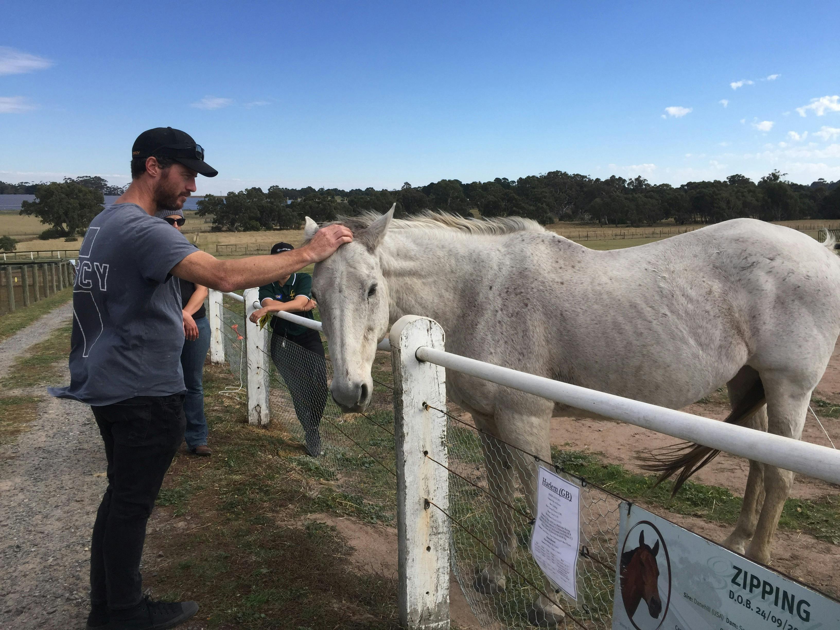 People patting and feeding racehorses