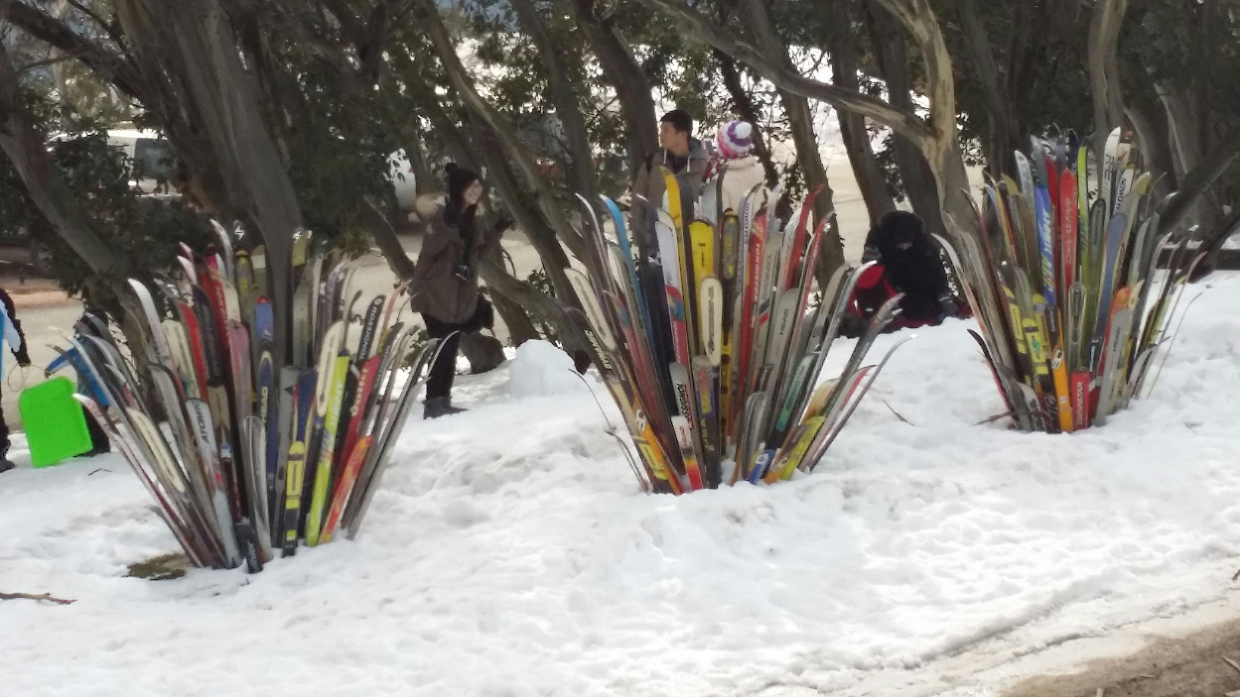 Mt Buller Tour