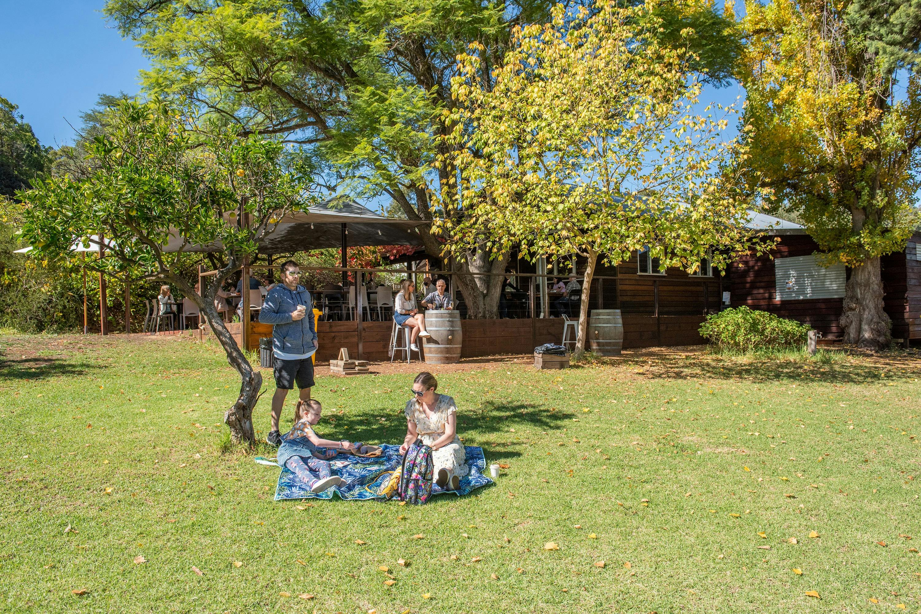The Packing Shed at Lawnbrook