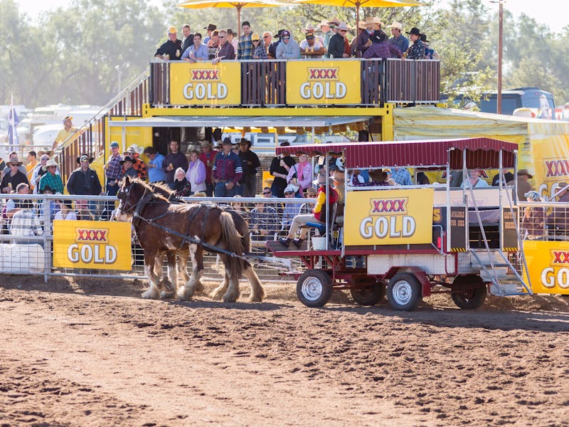 Coonamble Rodeo and Campdraft NSW Holidays & Things to