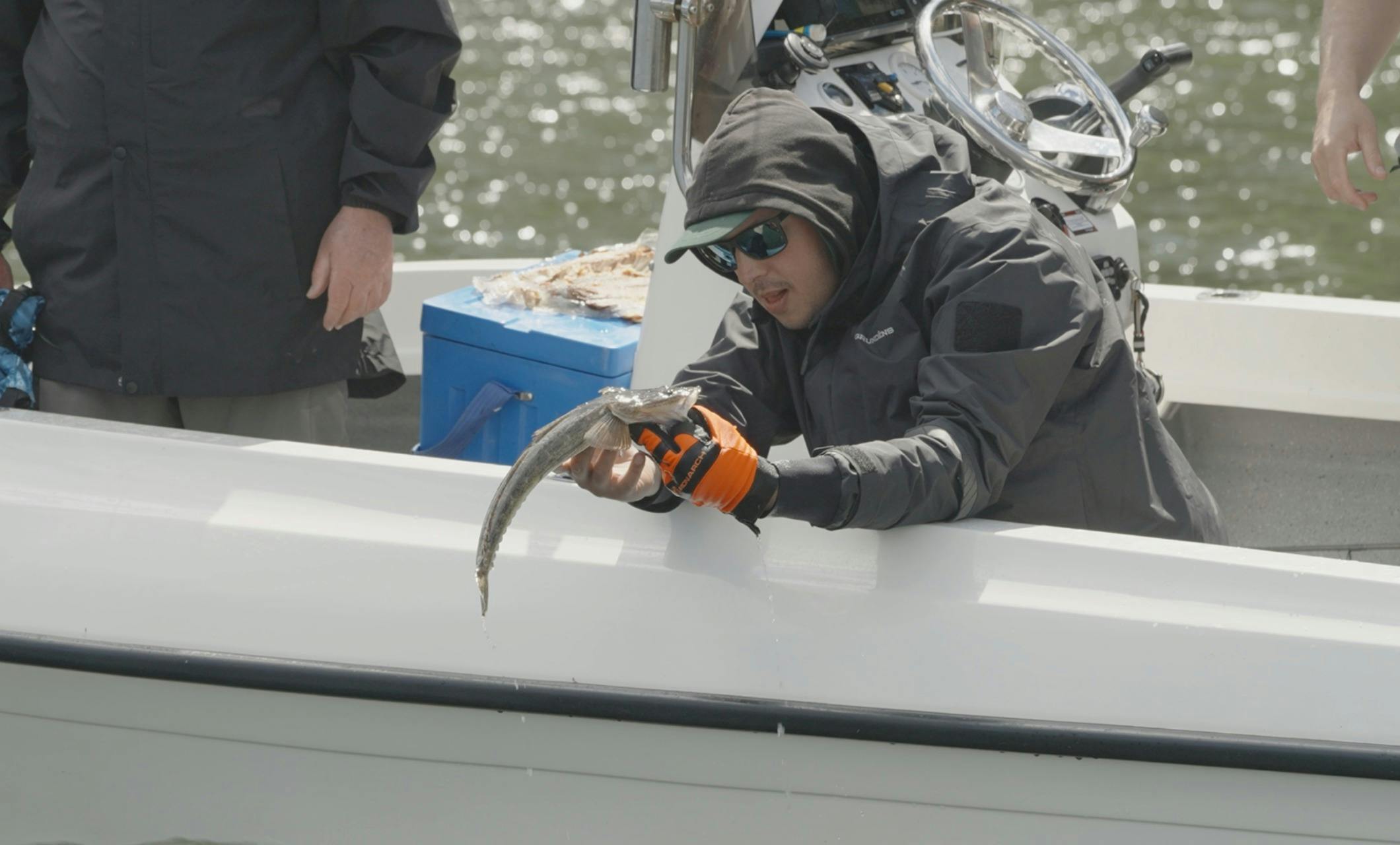 Angler in wet weather gear admiring a flathead held over the side of a boat before release