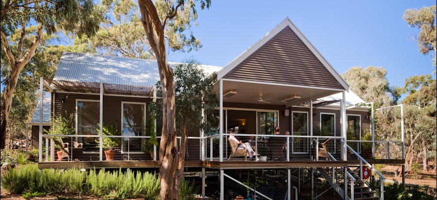 Thorn Park by the Vines