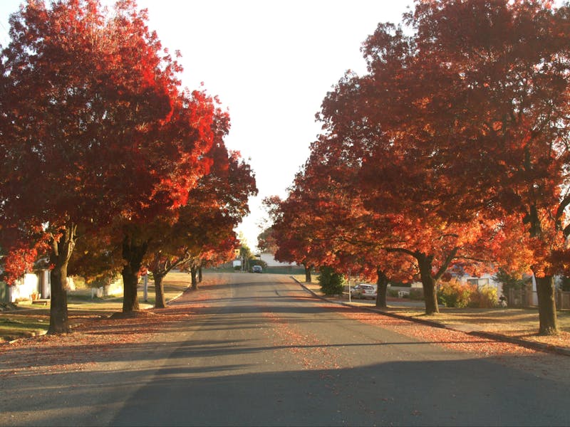 Crookwell Guided Tour NSW Holidays & Things to Do