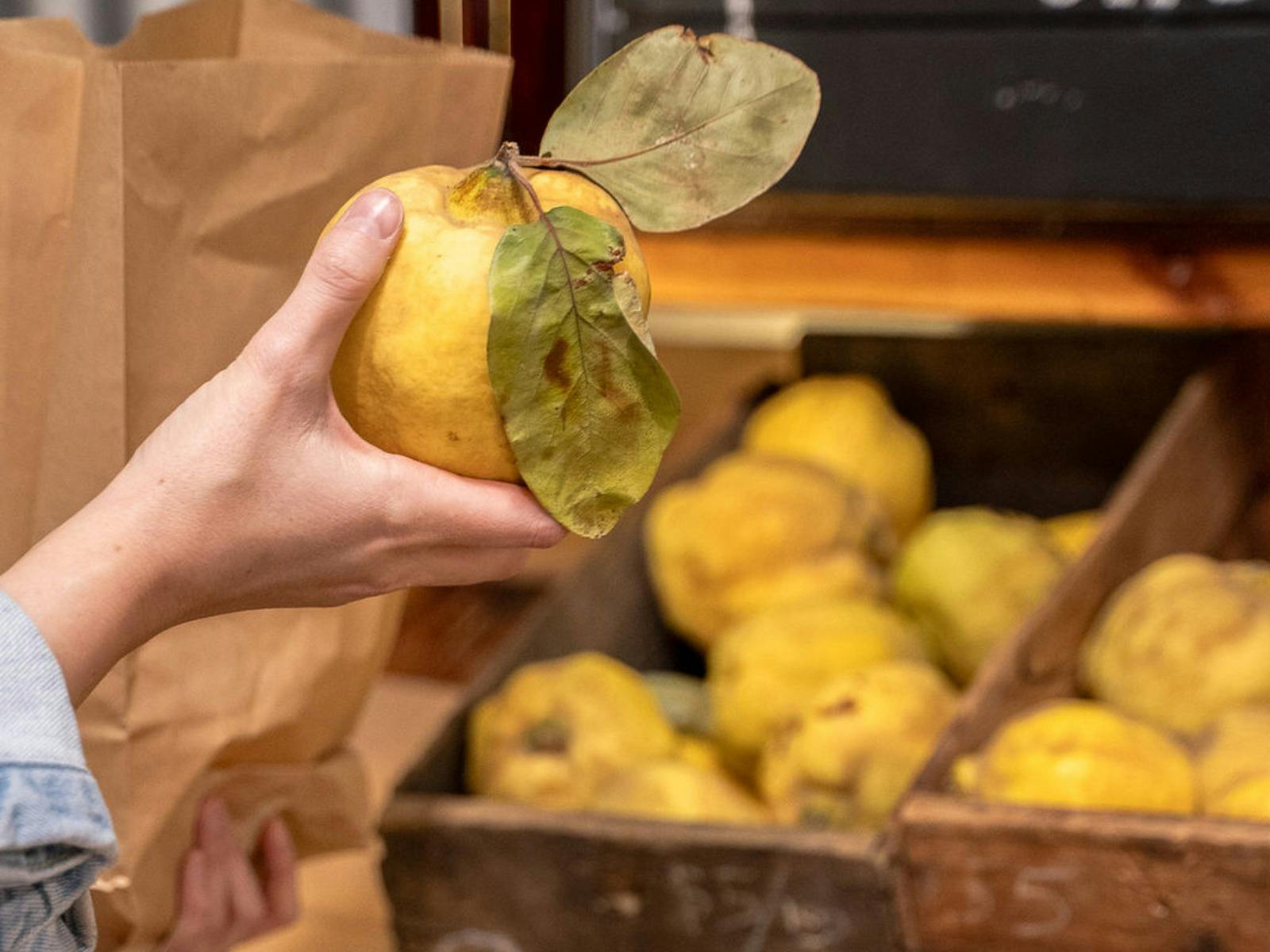 Gully Gardens Barossa - Orchard Tour and Taste