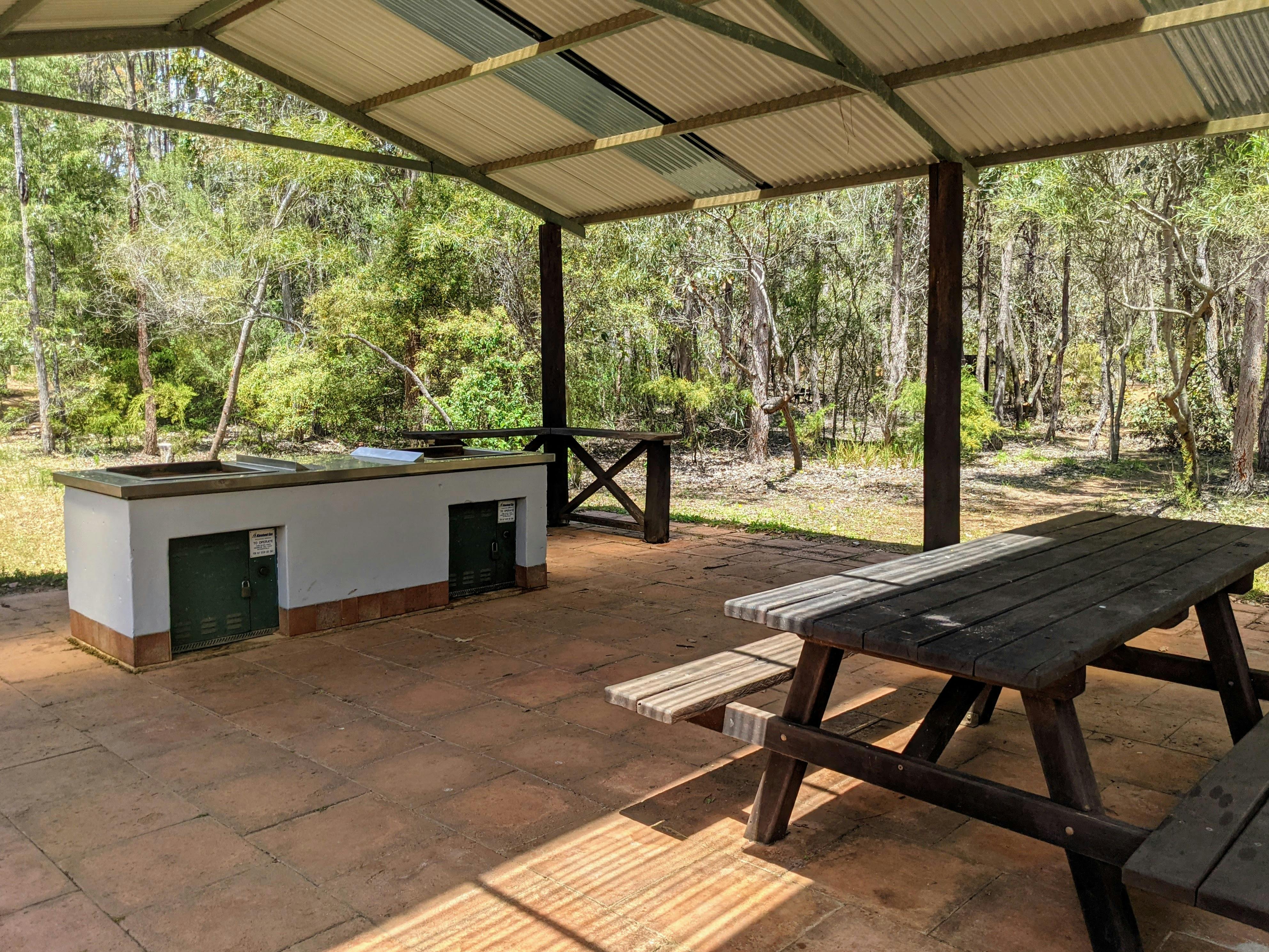 Warner Glen at Chapman Pool Campground