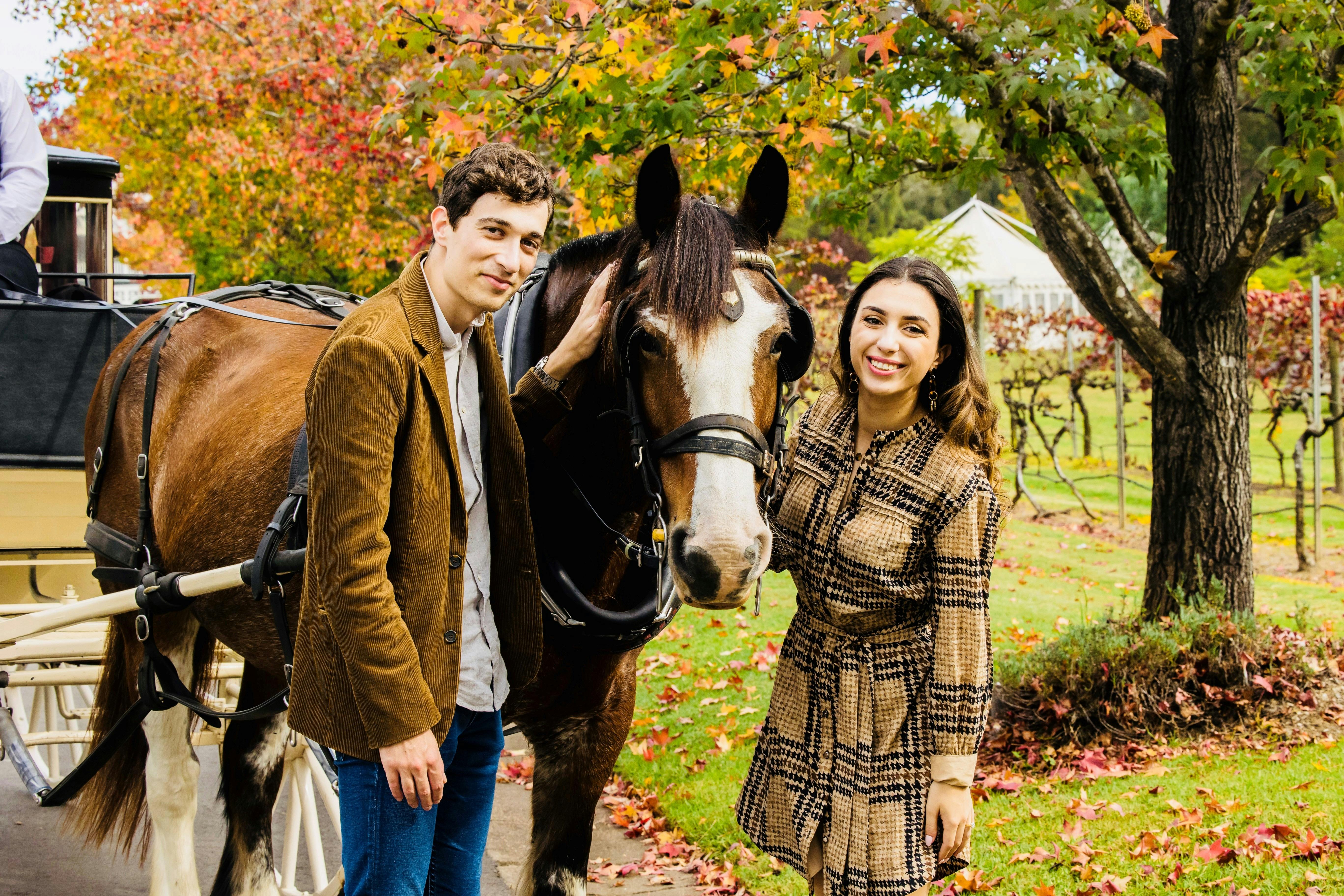 A couple enjoying a carriage tour