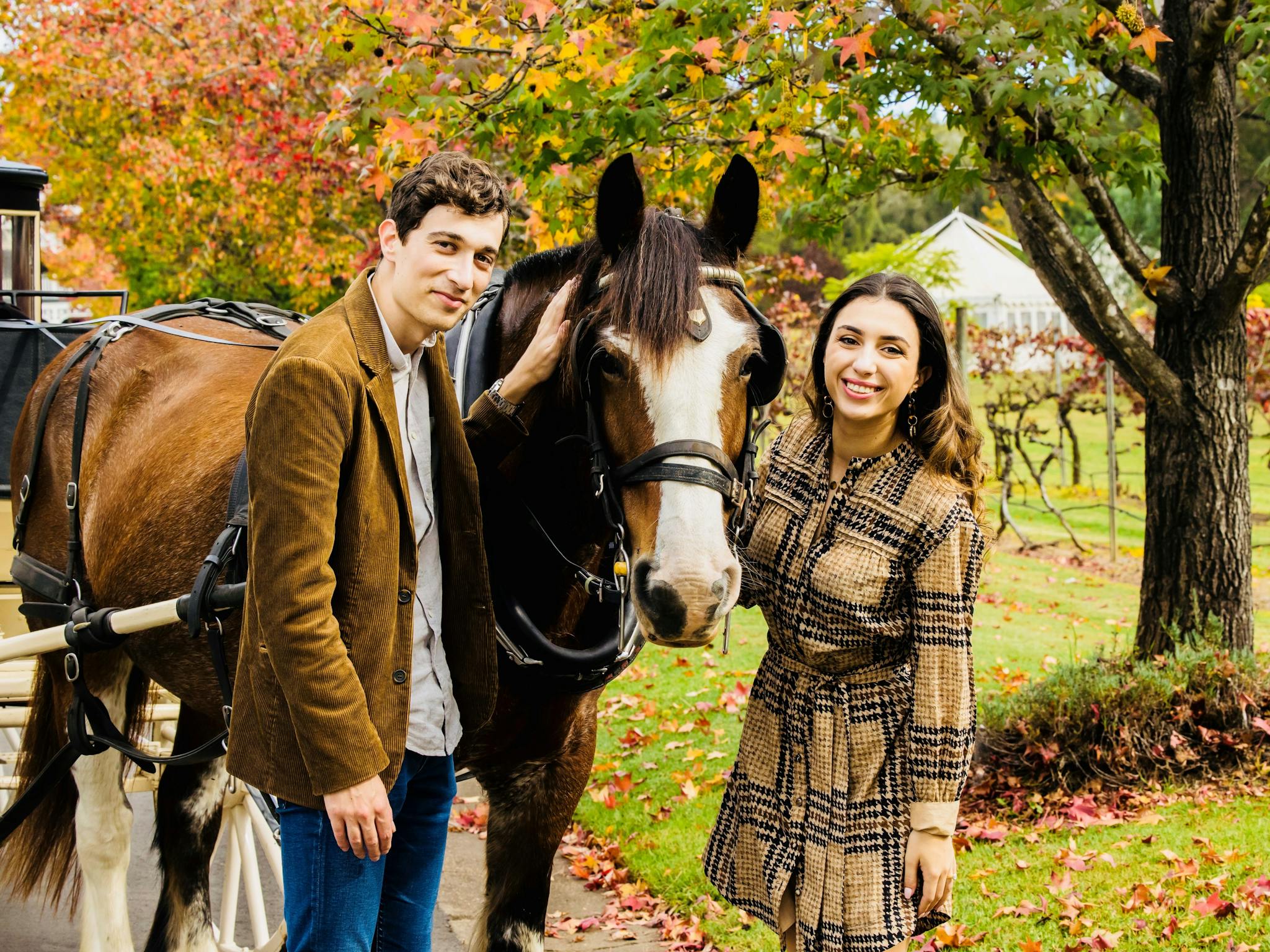 A couple enjoying a carriage tour
