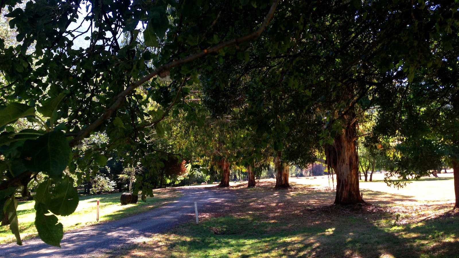 Mirimbah Park