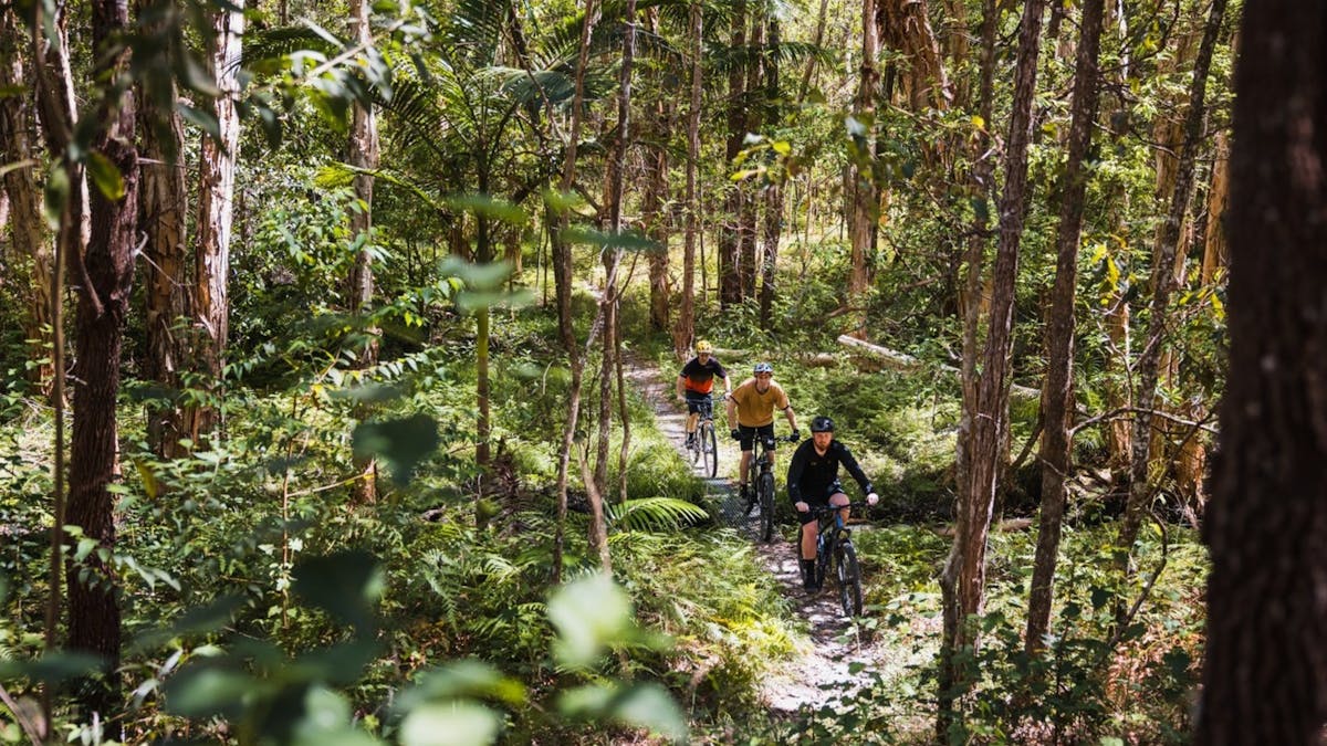 Cycling Through Bushland Trails | Bayview Conservation Area, Redlands Coast