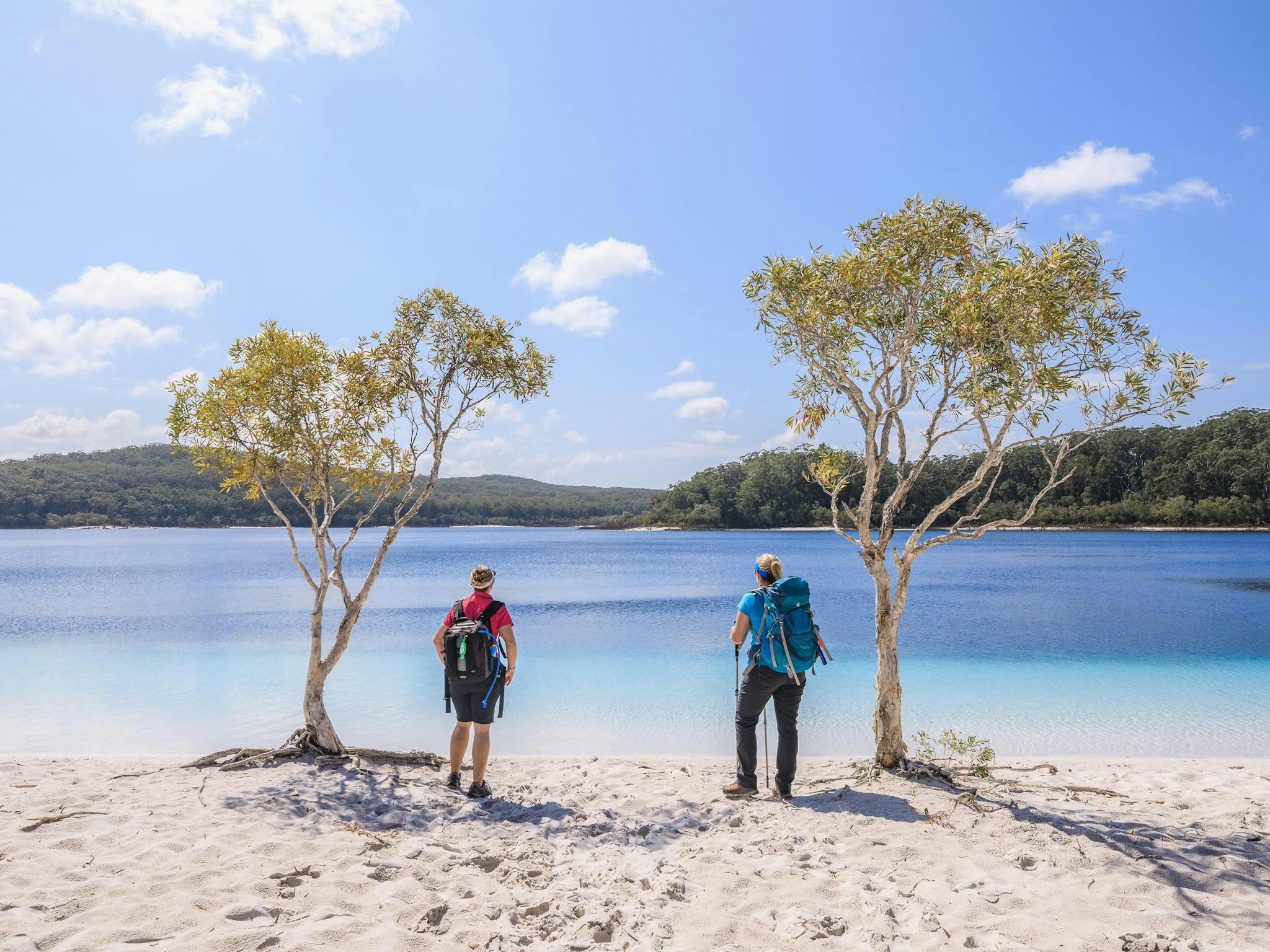Enjoy the famous blue lakes that Fraser Island is famous for Enjoy the famous blue lakes that Fraser Island is famous for