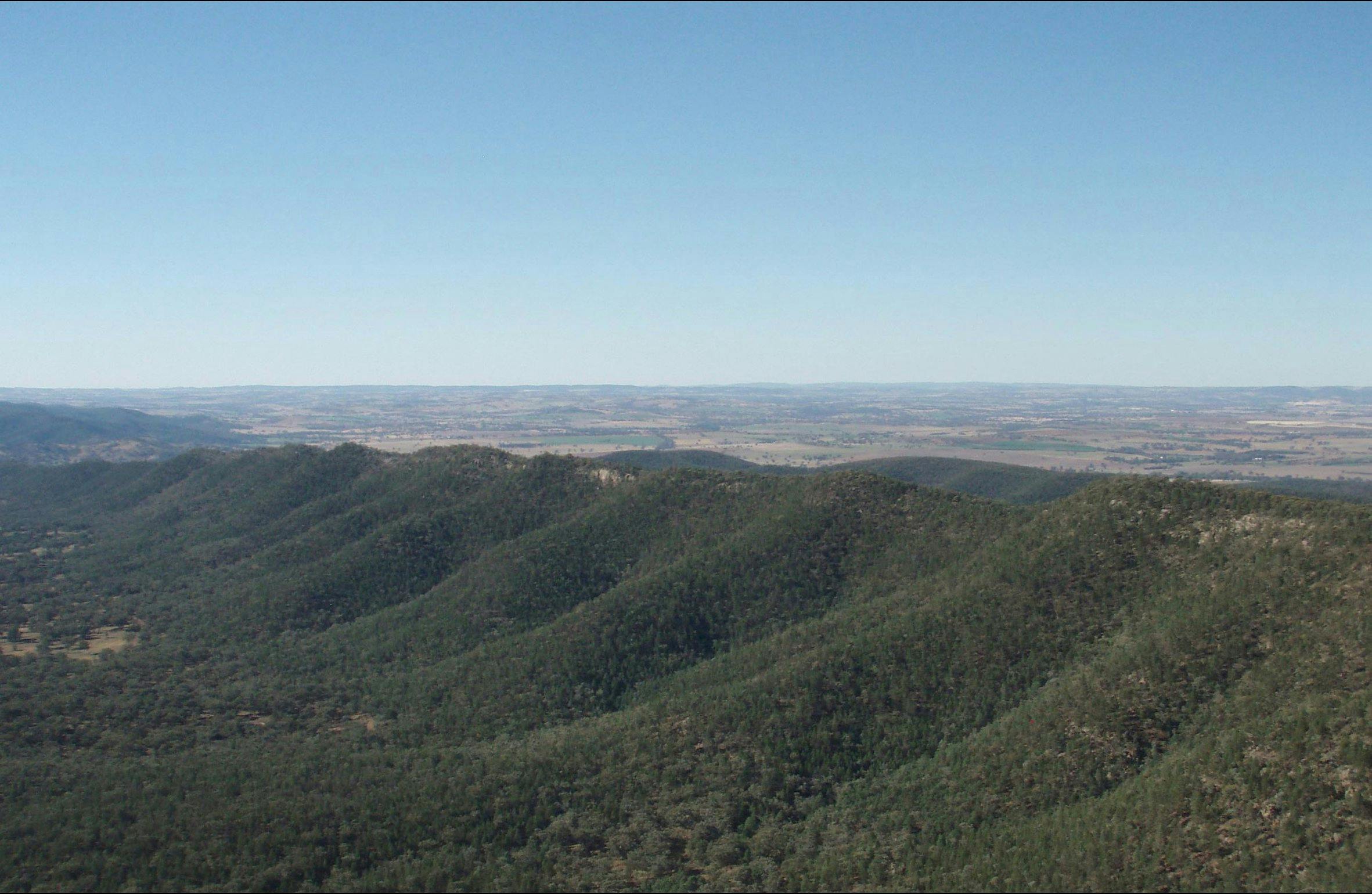 Mount Nangar hiking track, Nangar National Park. Photo: A Lavender/NSW Government
